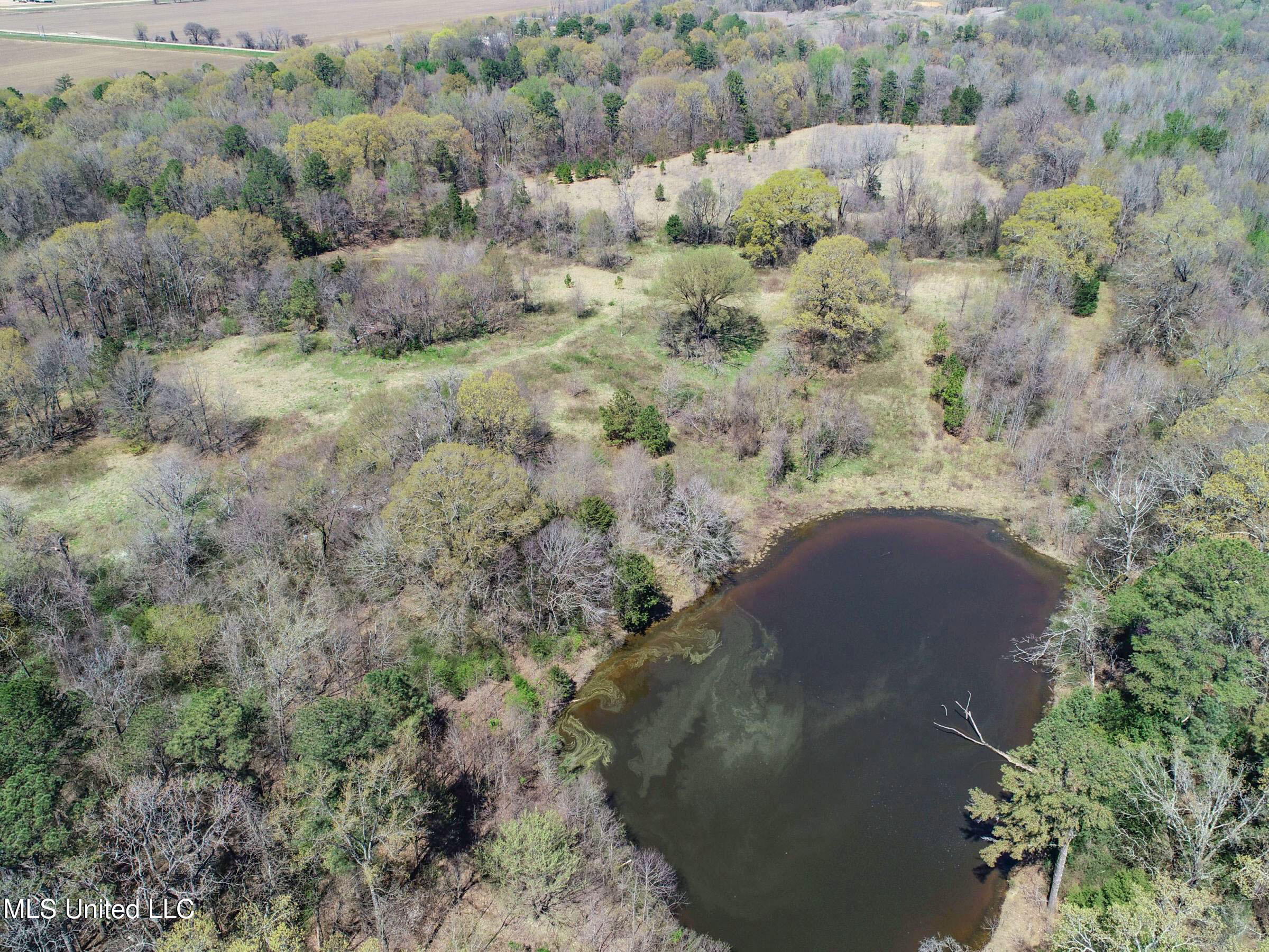Ms-35 Charleston, MS 38921 - Photo 55 of 119 3omtch52