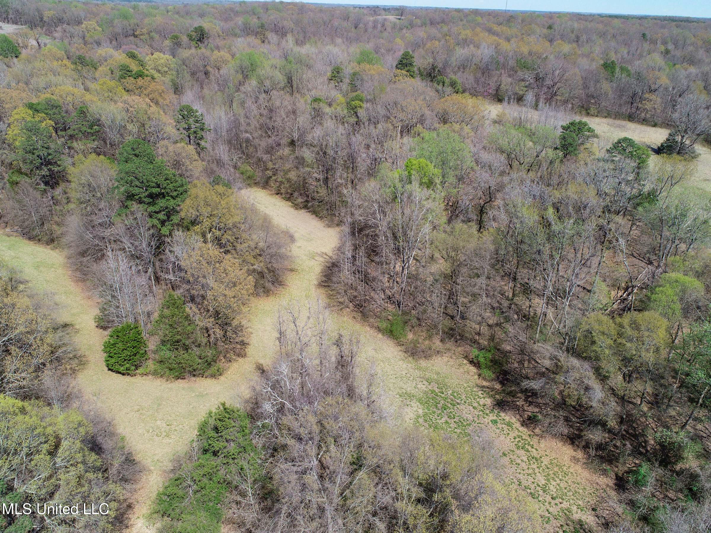 Ms-35 Charleston, MS 38921 - Photo 63 of 119 3omtch60