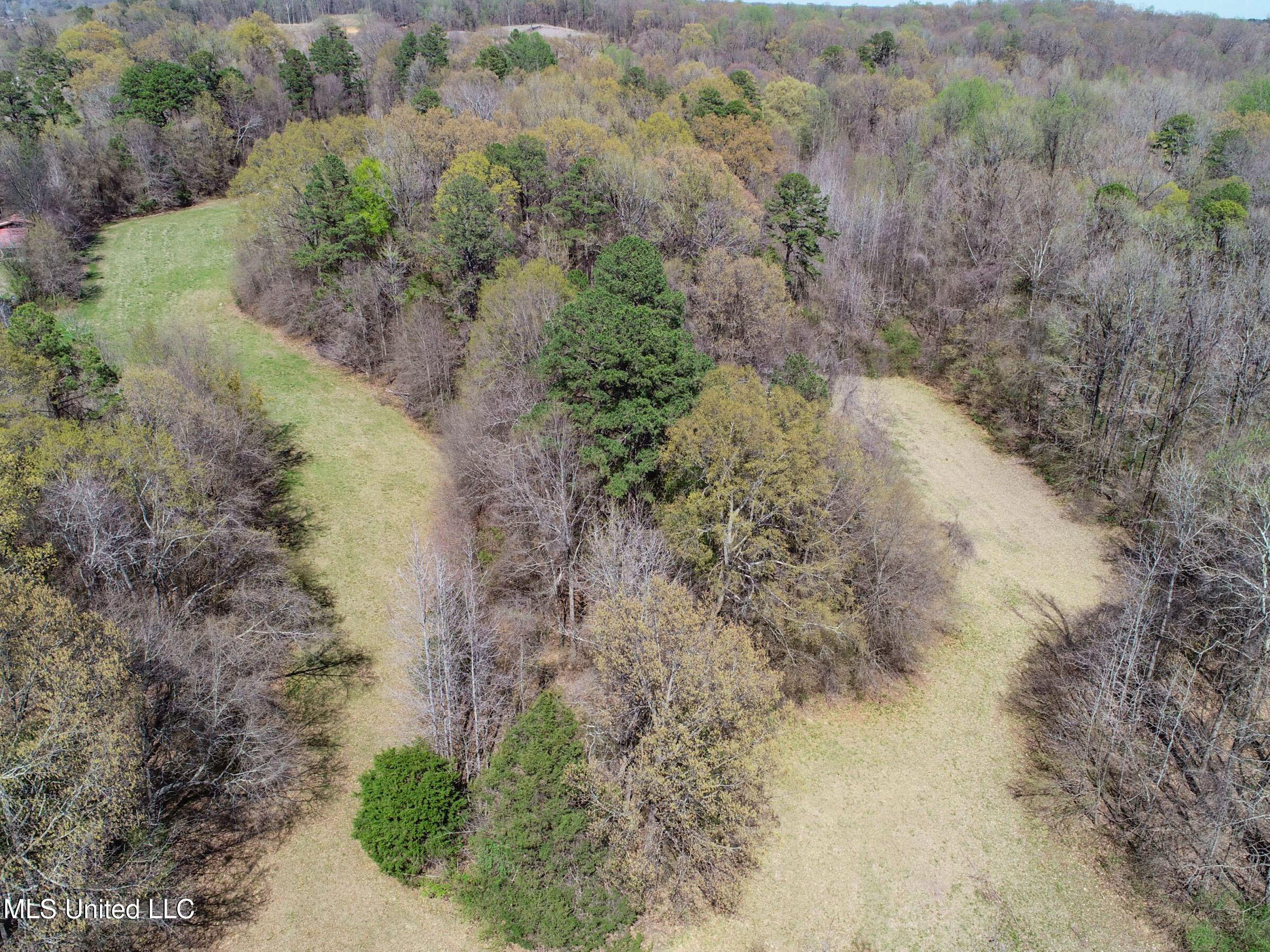 Ms-35 Charleston, MS 38921 - Photo 64 of 119 3omtch61