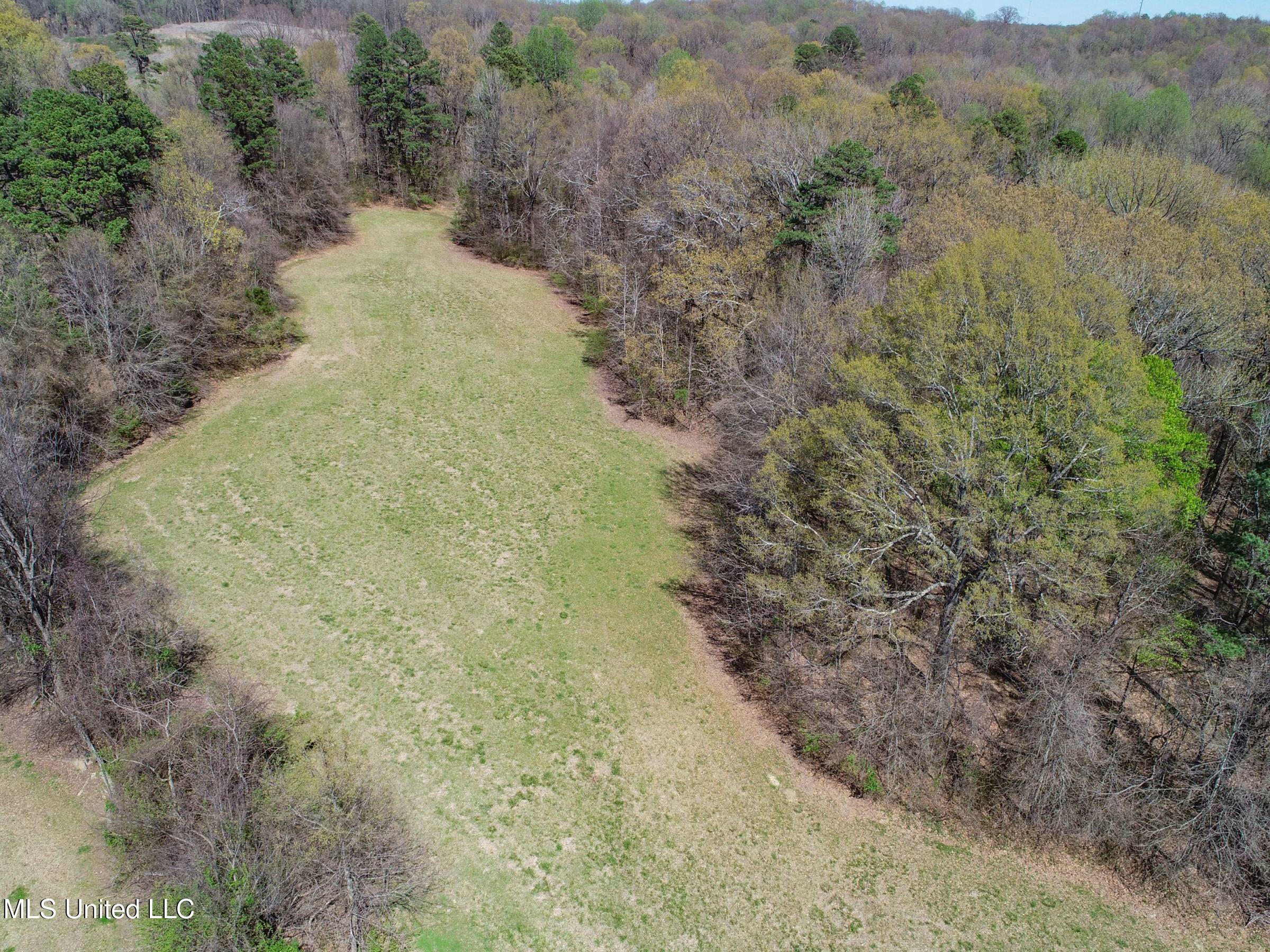 Ms-35 Charleston, MS 38921 - Photo 66 of 119 3omtch63