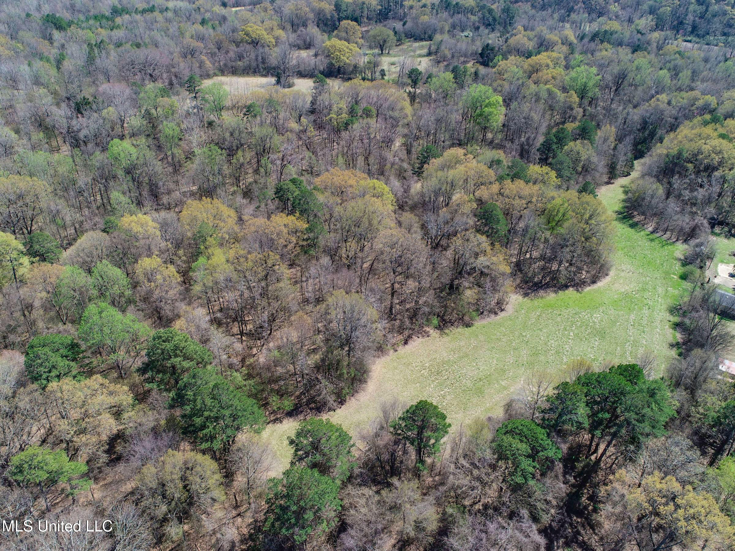 Ms-35 Charleston, MS 38921 - Photo 69 of 119 3omtch66