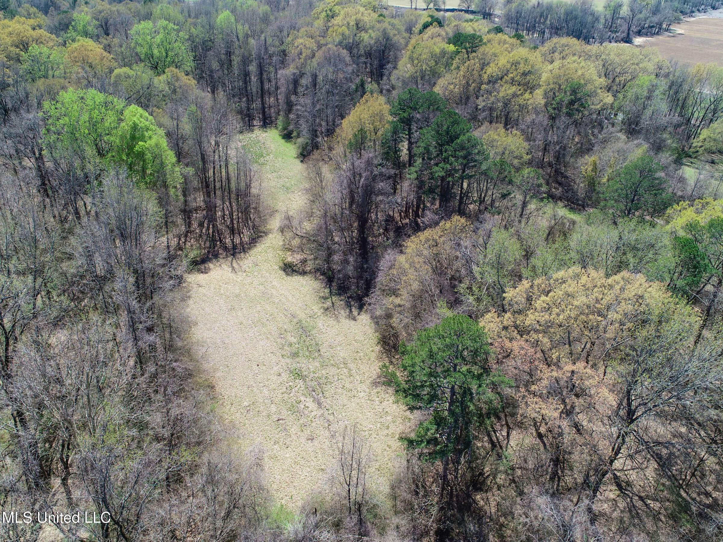 Ms-35 Charleston, MS 38921 - Photo 70 of 119 3omtch67
