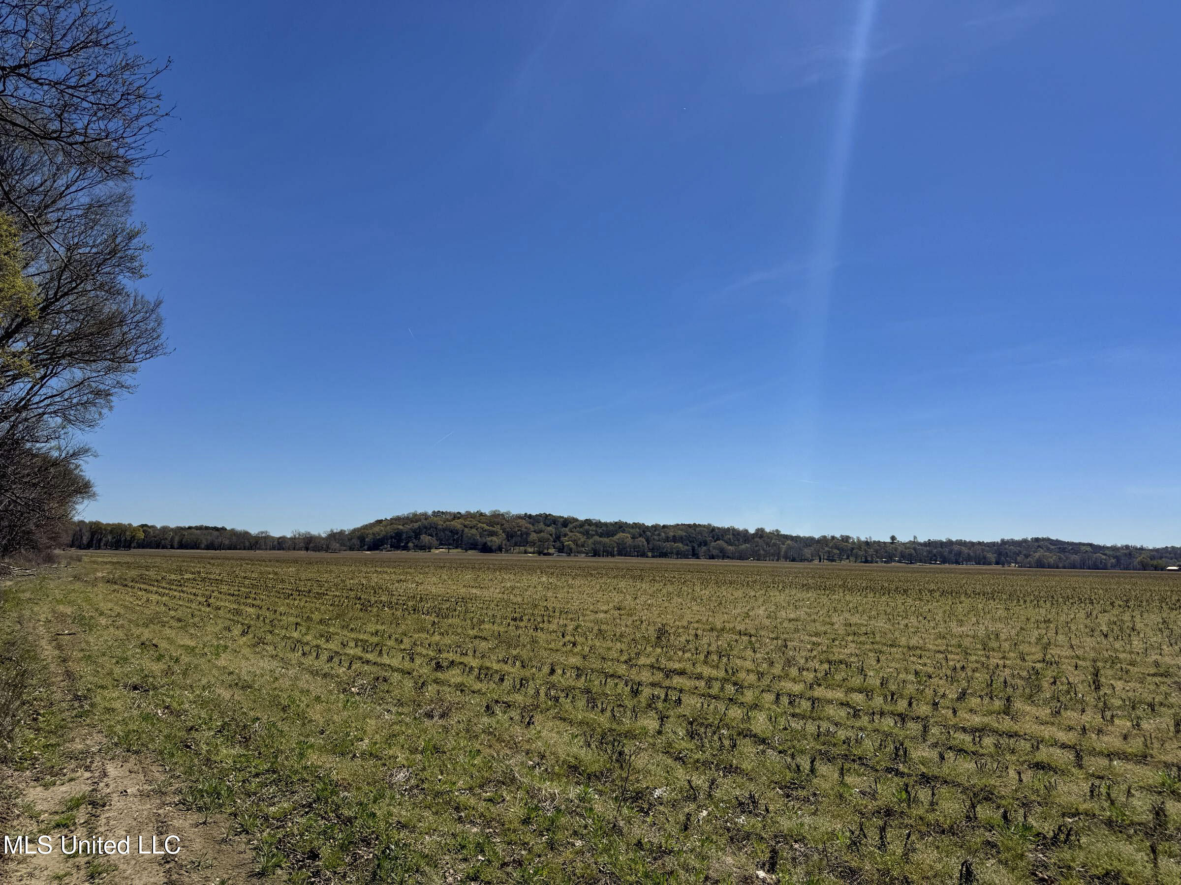 Ms-35 Charleston, MS 38921 - Photo 71 of 119 4omtch1