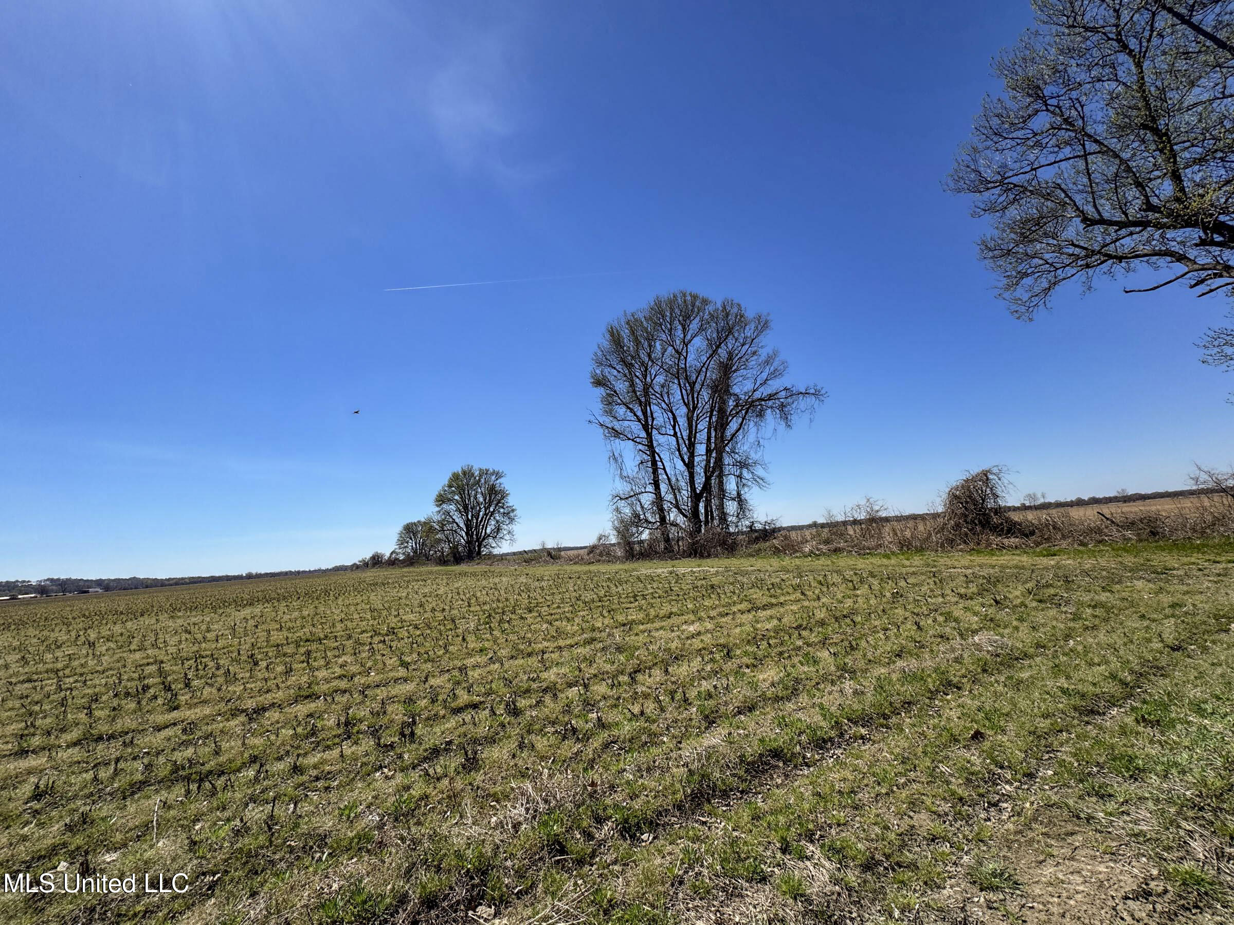 Ms-35 Charleston, MS 38921 - Photo 72 of 119 4omtch4