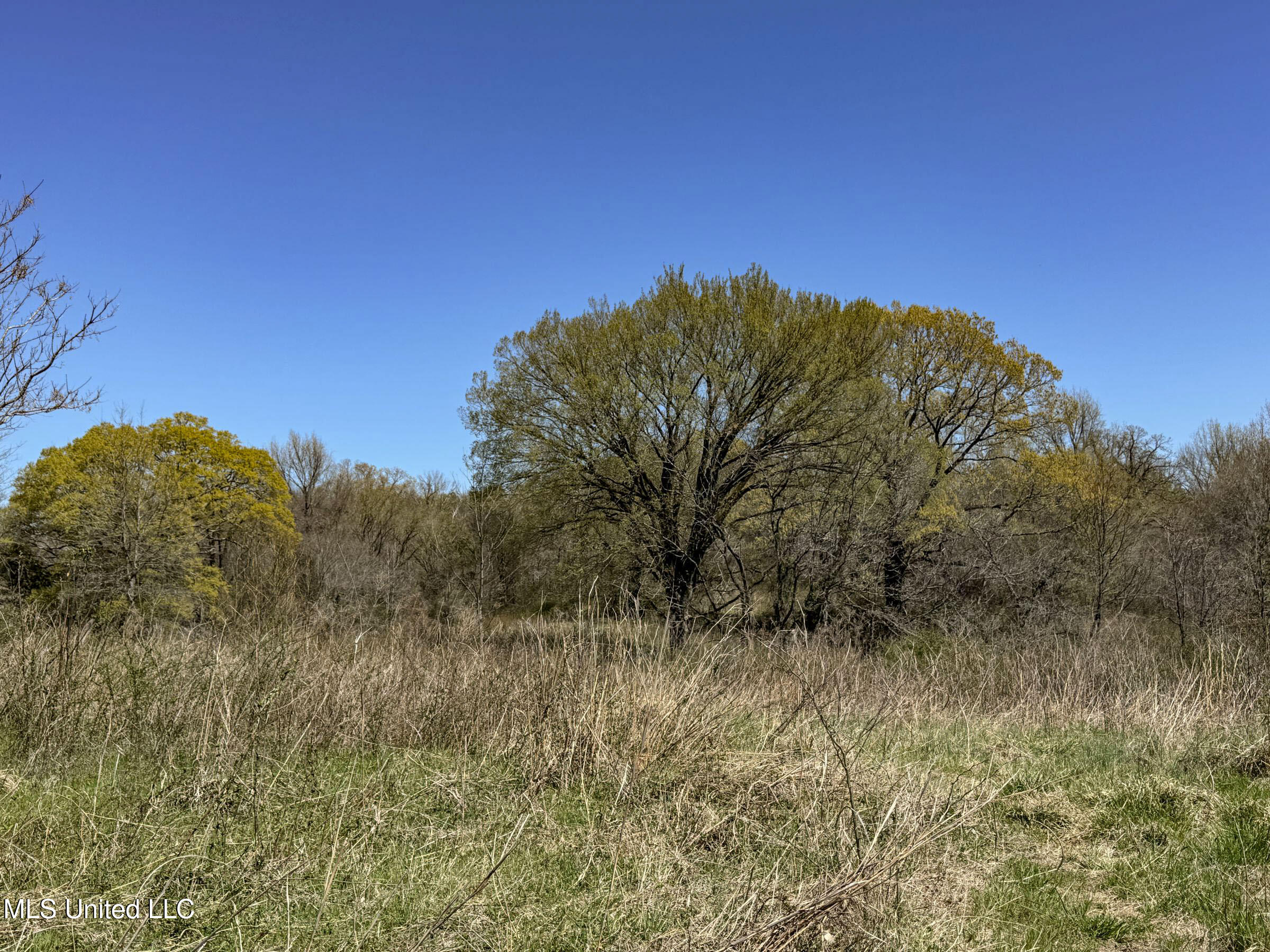 Ms-35 Charleston, MS 38921 - Photo 78 of 119 4omtch12