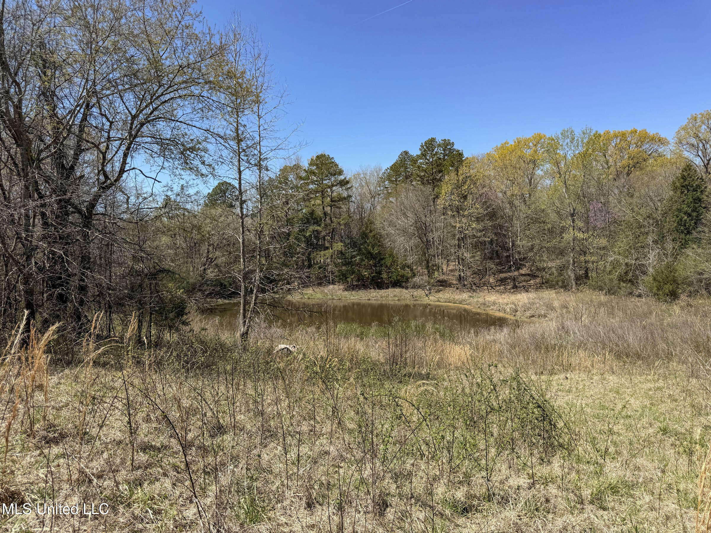 Ms-35 Charleston, MS 38921 - Photo 79 of 119 4omtch15
