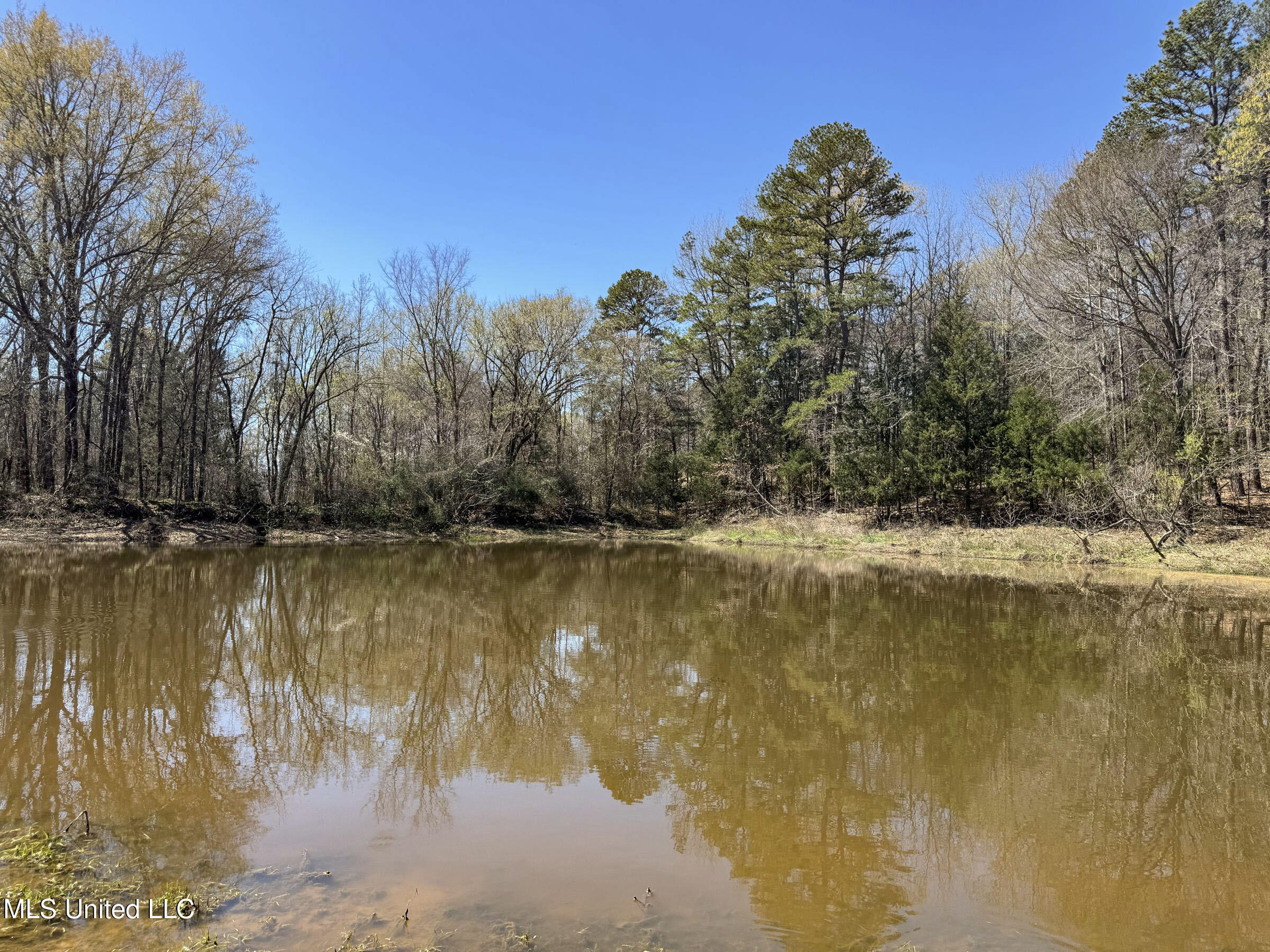 Ms-35 Charleston, MS 38921 - Photo 80 of 119 4omtch16