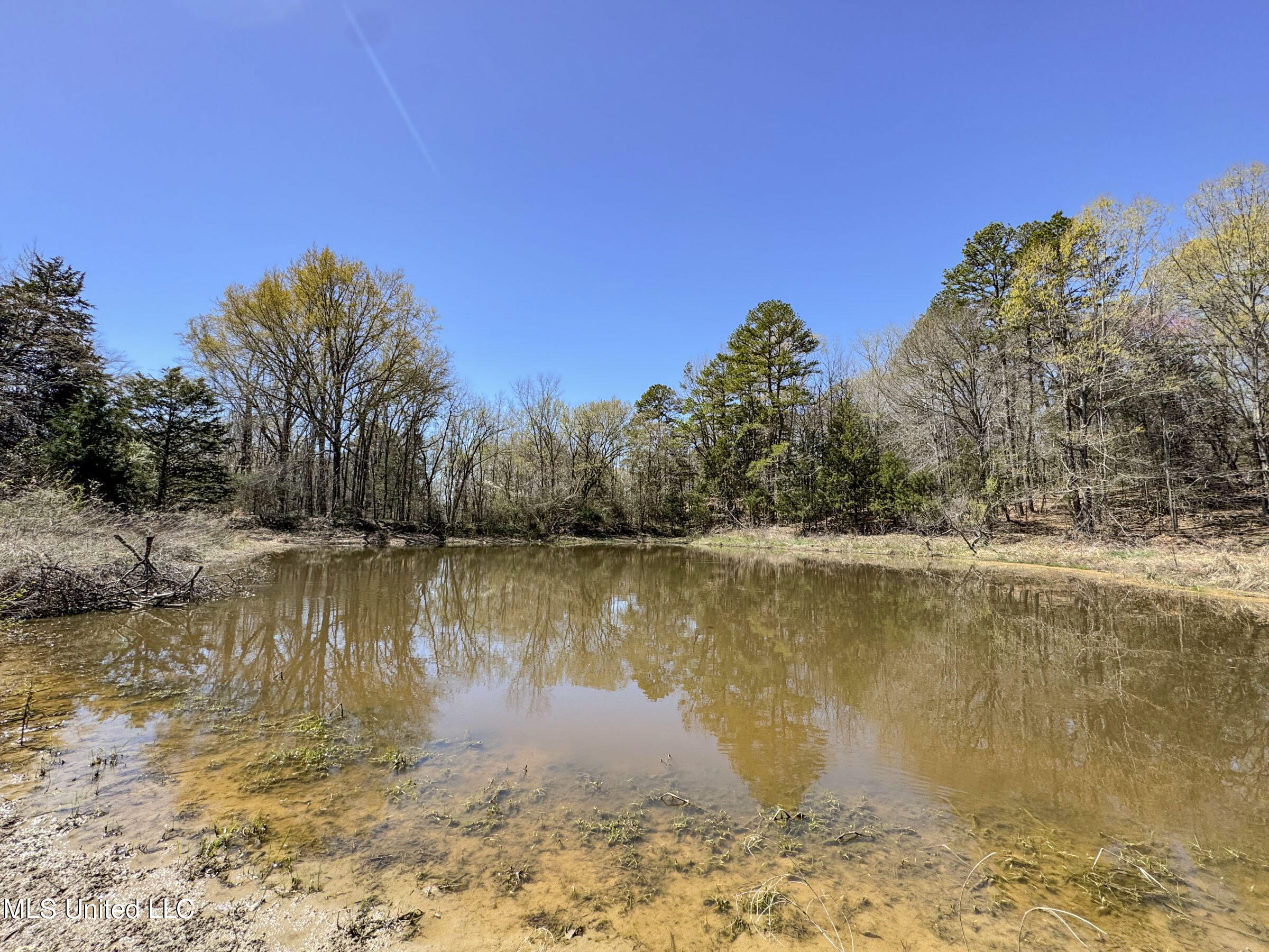 Ms-35 Charleston, MS 38921 - Photo 81 of 119 4omtch17