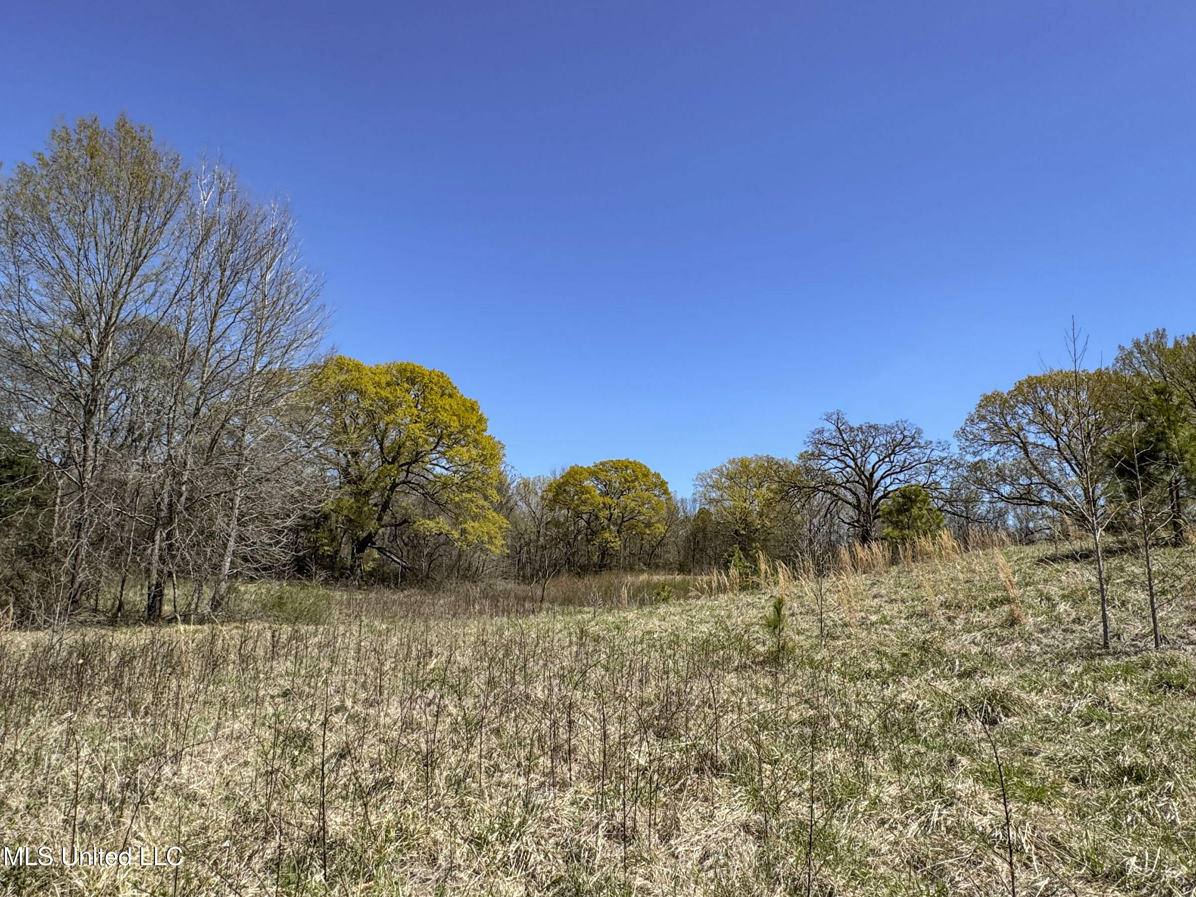 Ms-35 Charleston, MS 38921 - Photo 82 of 119 4omtch18