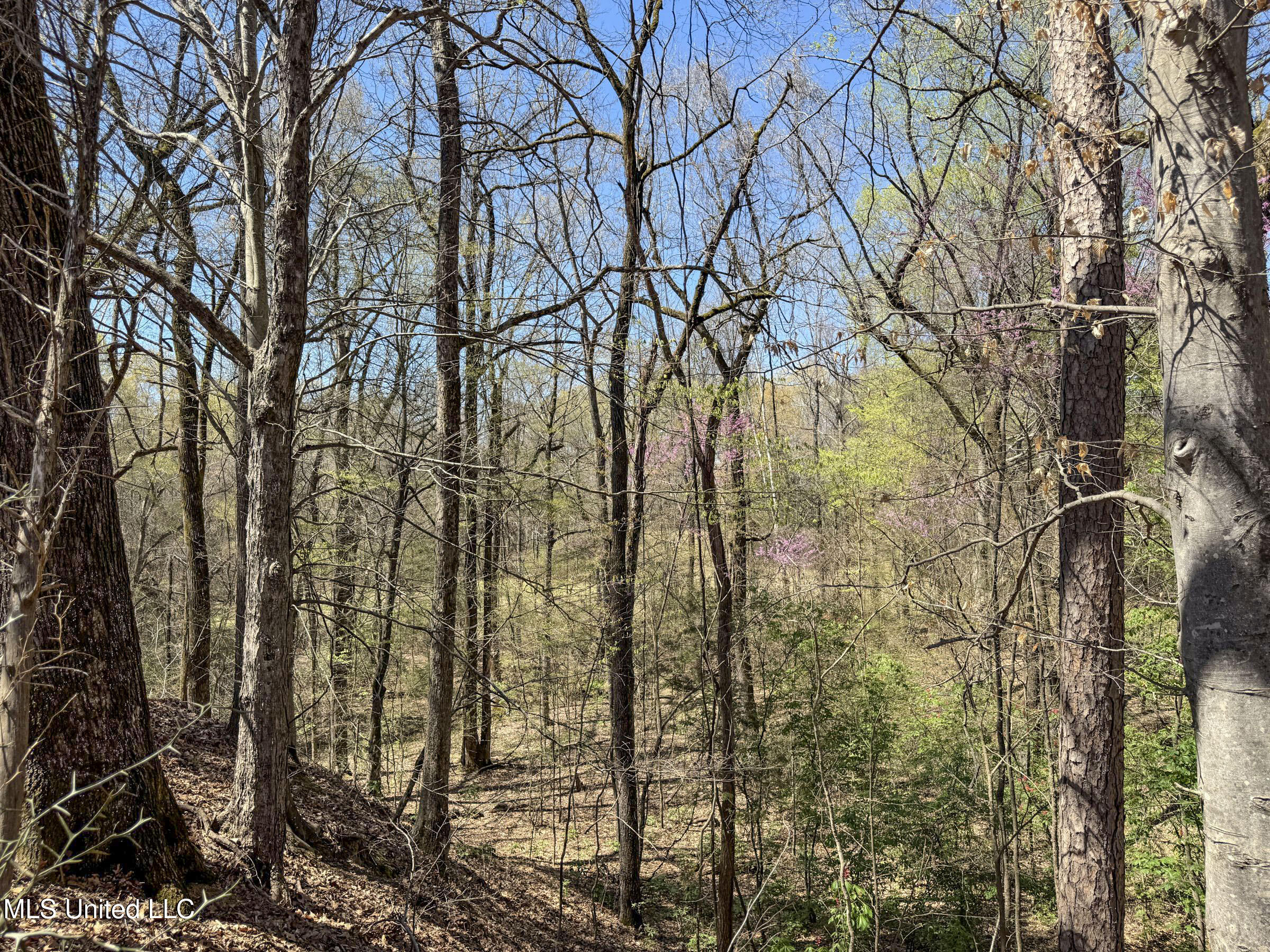 Ms-35 Charleston, MS 38921 - Photo 84 of 119 4omtch22