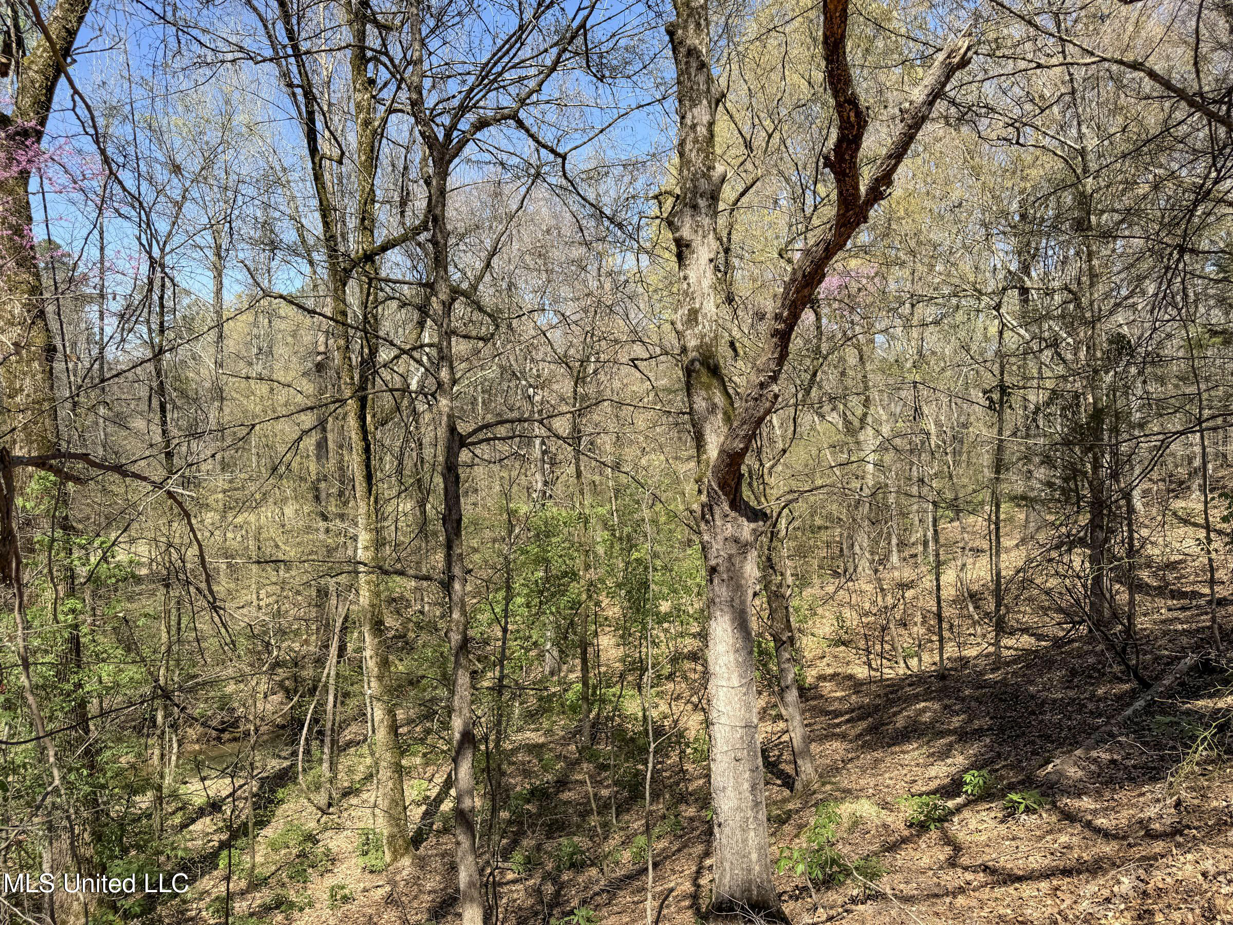 Ms-35 Charleston, MS 38921 - Photo 85 of 119 4omtch23