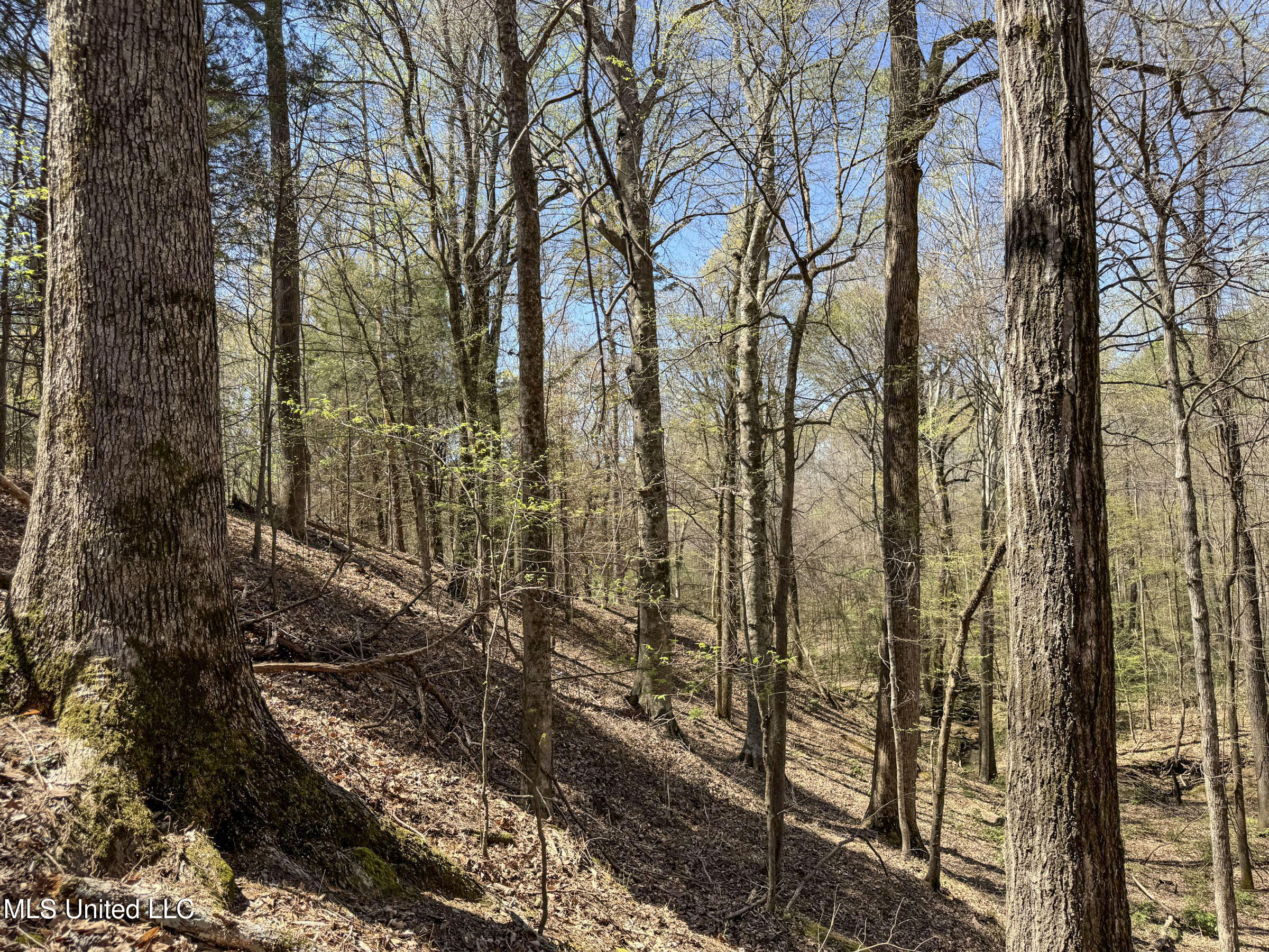 Ms-35 Charleston, MS 38921 - Photo 87 of 119 4omtch25