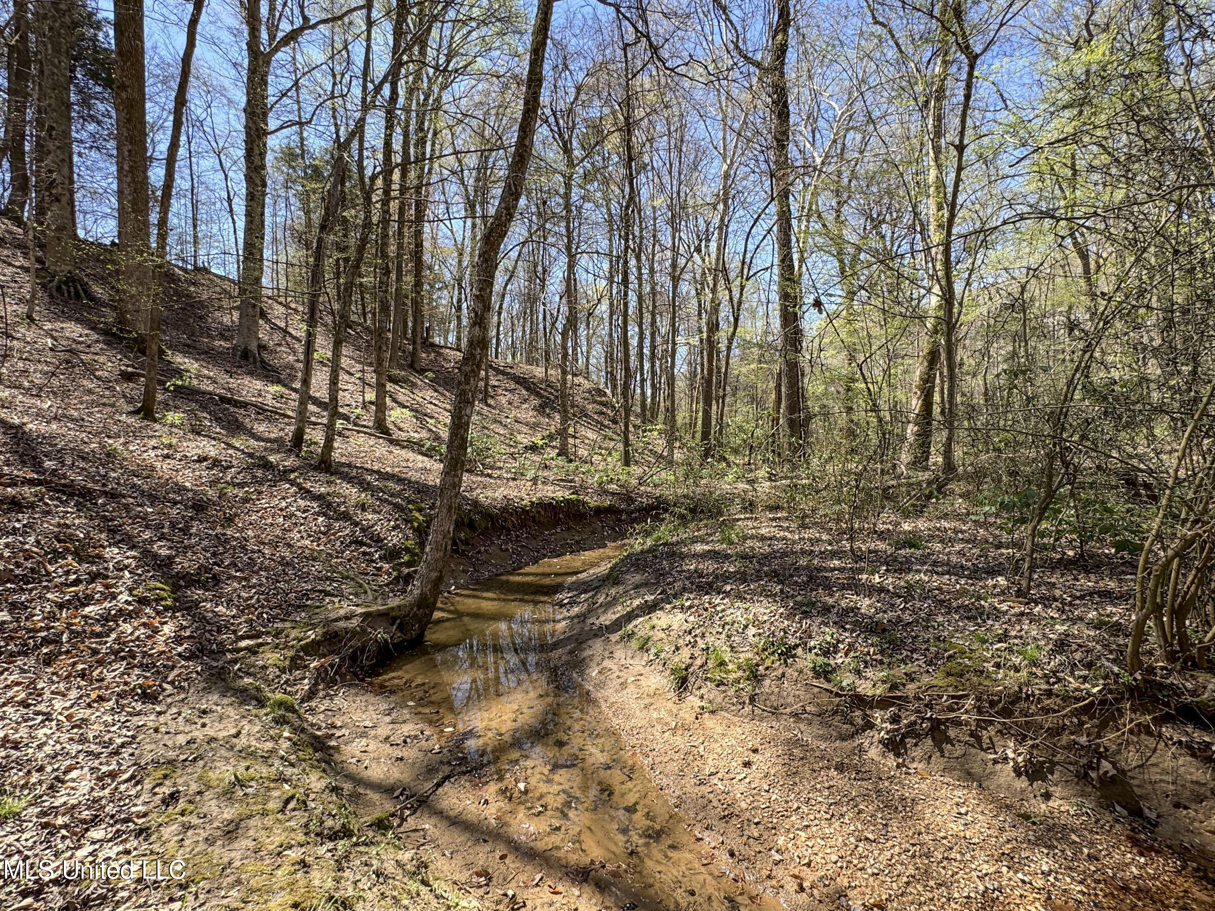 Ms-35 Charleston, MS 38921 - Photo 88 of 119 4omtch26