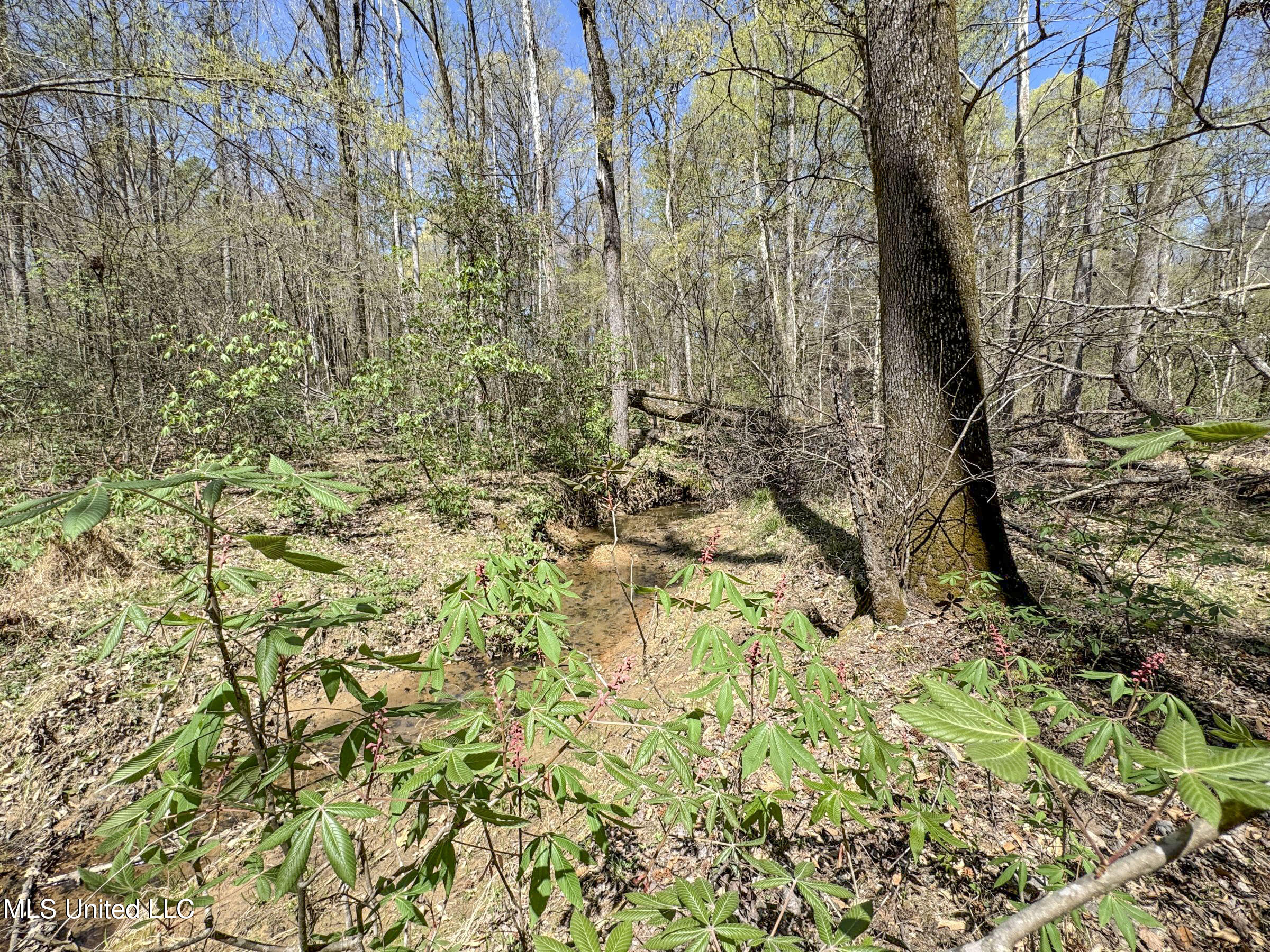 Ms-35 Charleston, MS 38921 - Photo 89 of 119 4omtch27