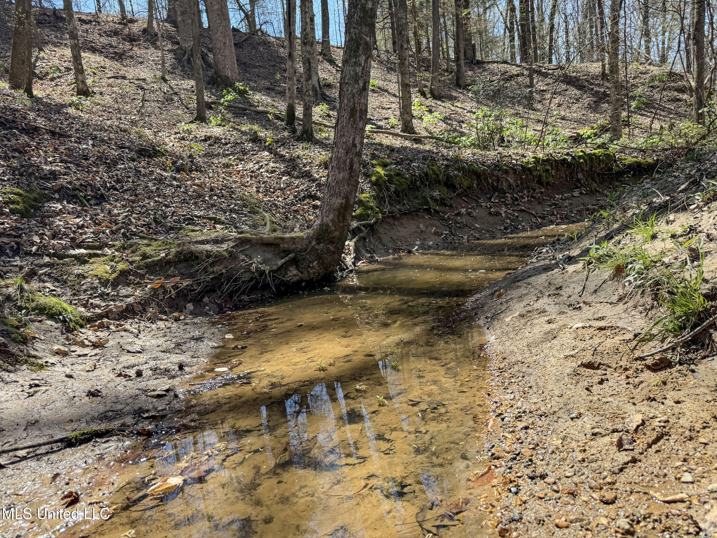 Ms-35 Charleston, MS 38921 - Photo 90 of 119 4omtch29
