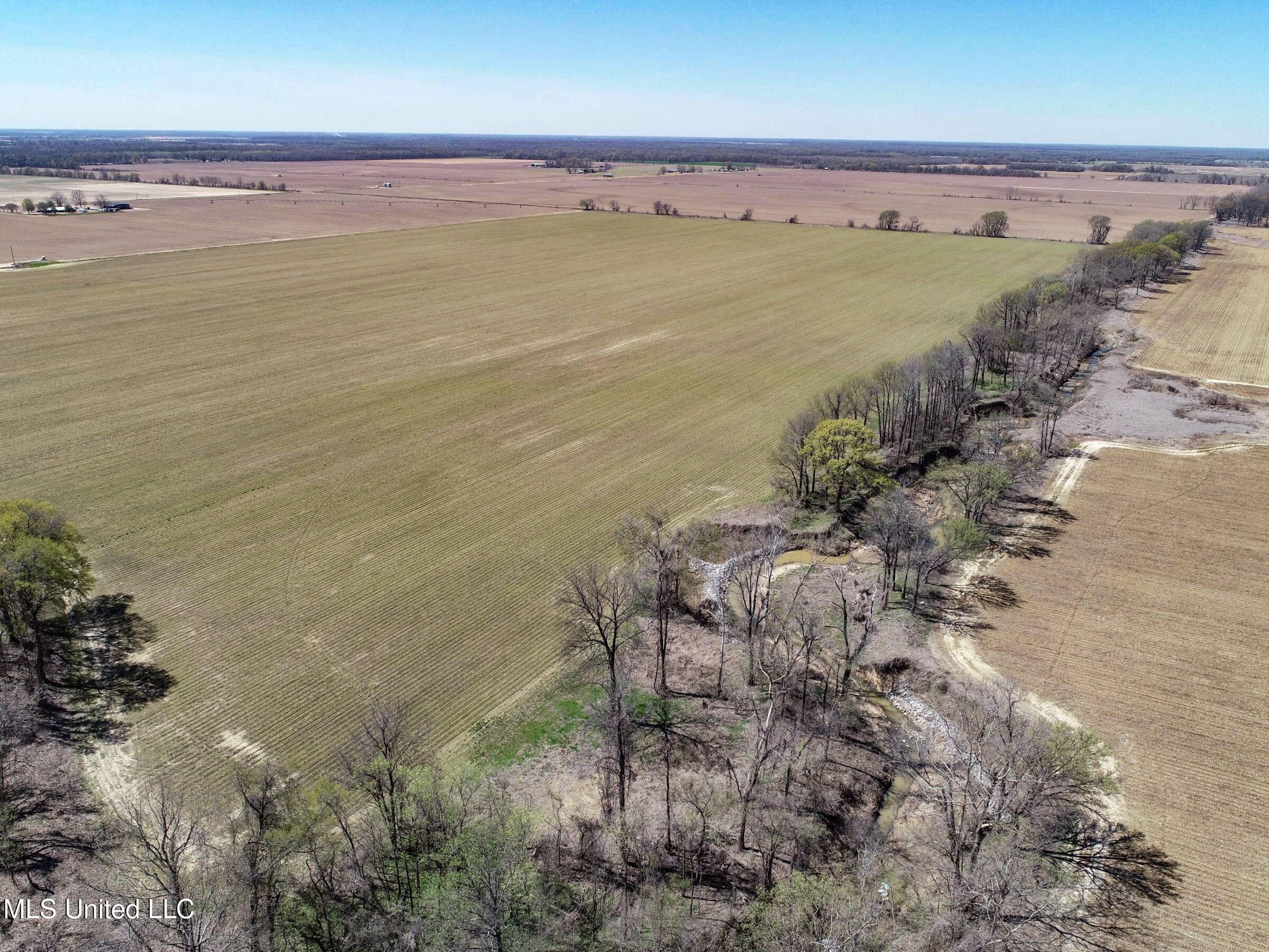 Ms-35 Charleston, MS 38921 - Photo 9 of 119 3omtch1