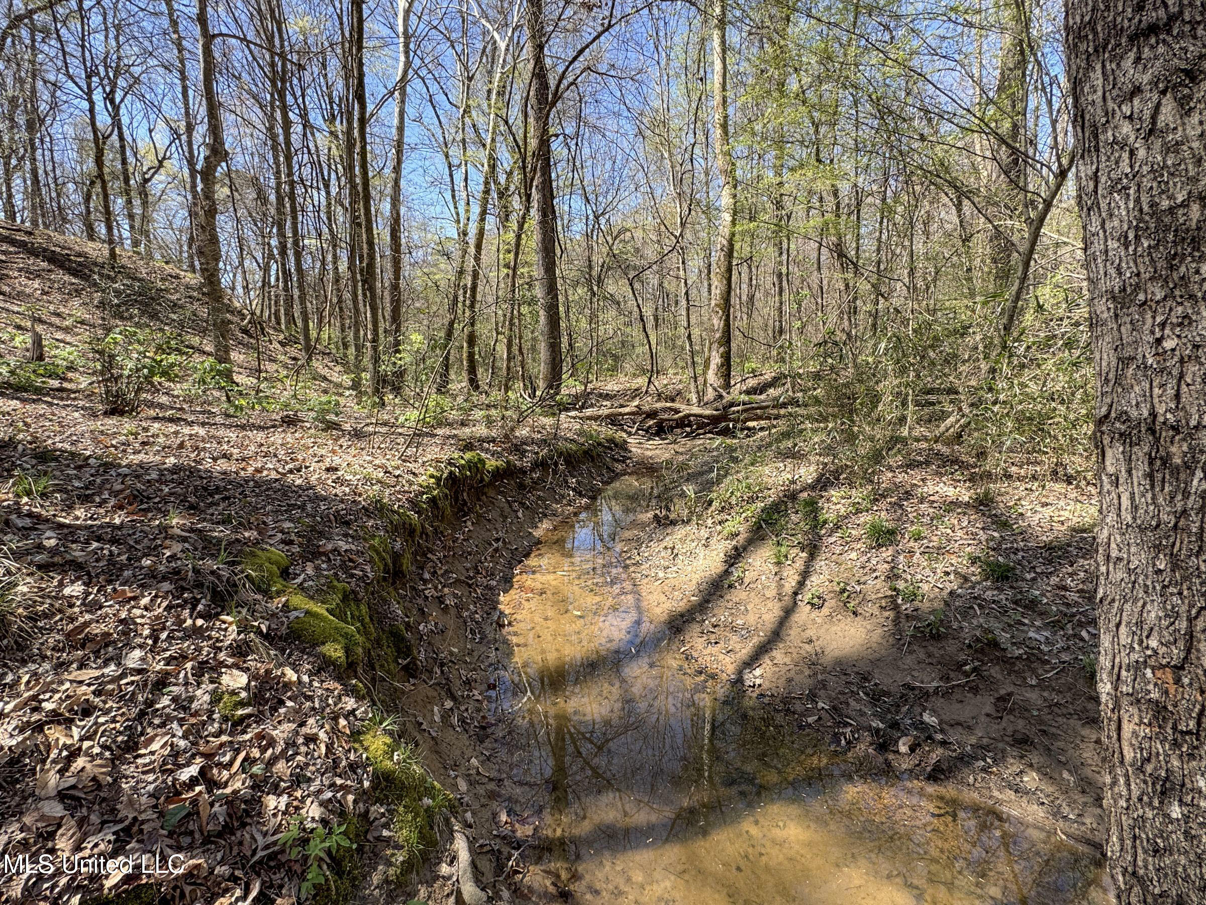 Ms-35 Charleston, MS 38921 - Photo 91 of 119 4omtch31