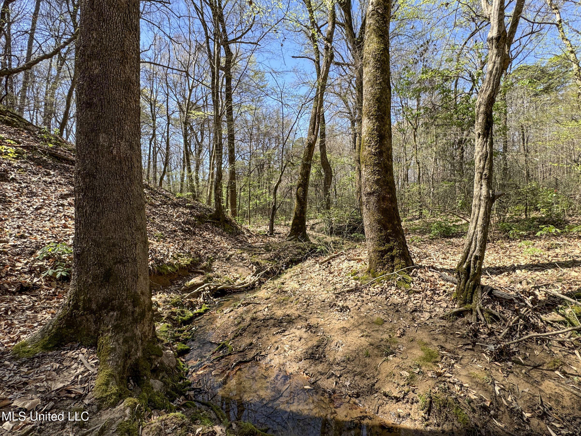 Ms-35 Charleston, MS 38921 - Photo 92 of 119 4omtch32