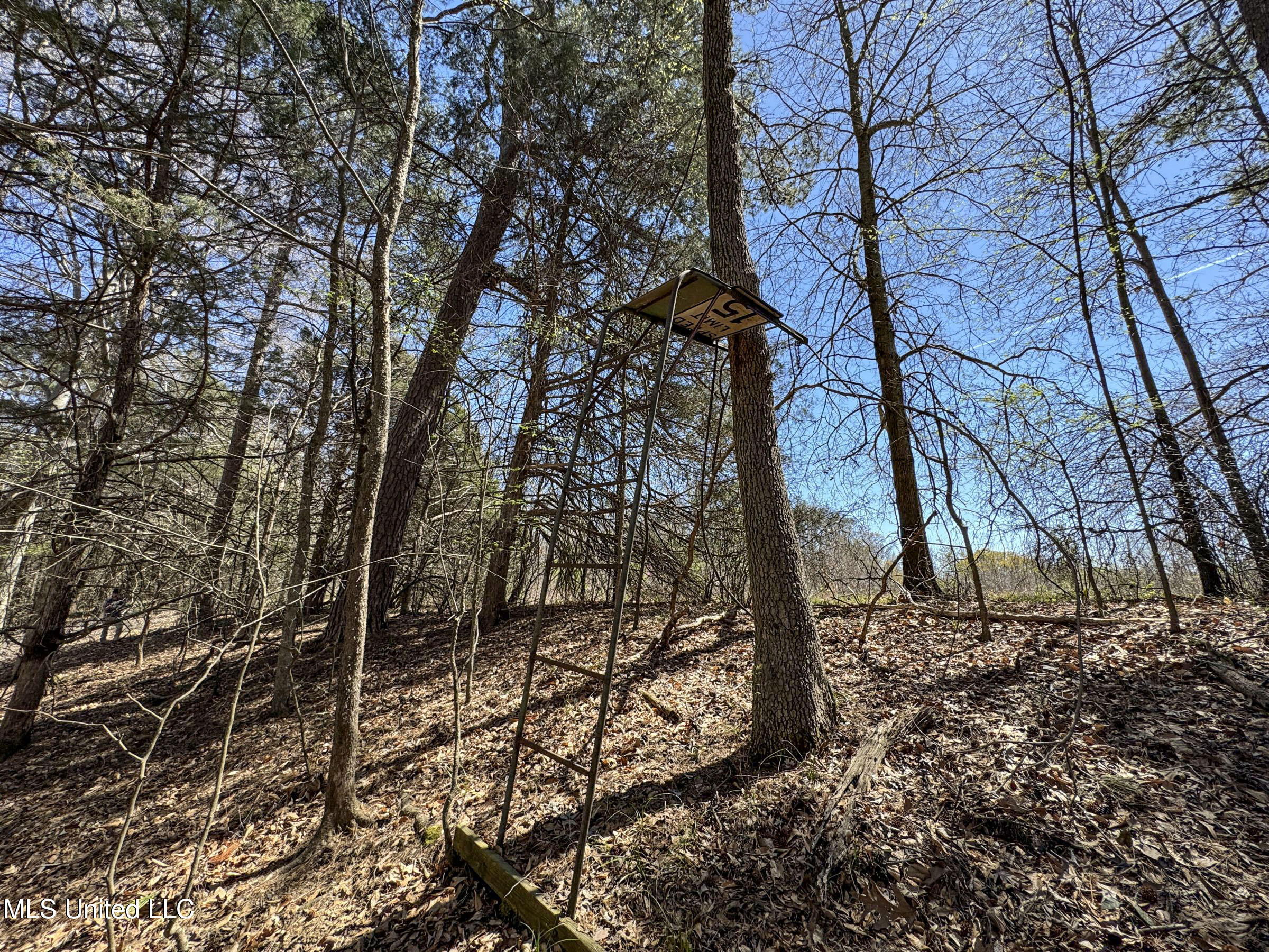 Ms-35 Charleston, MS 38921 - Photo 98 of 119 4omtch43