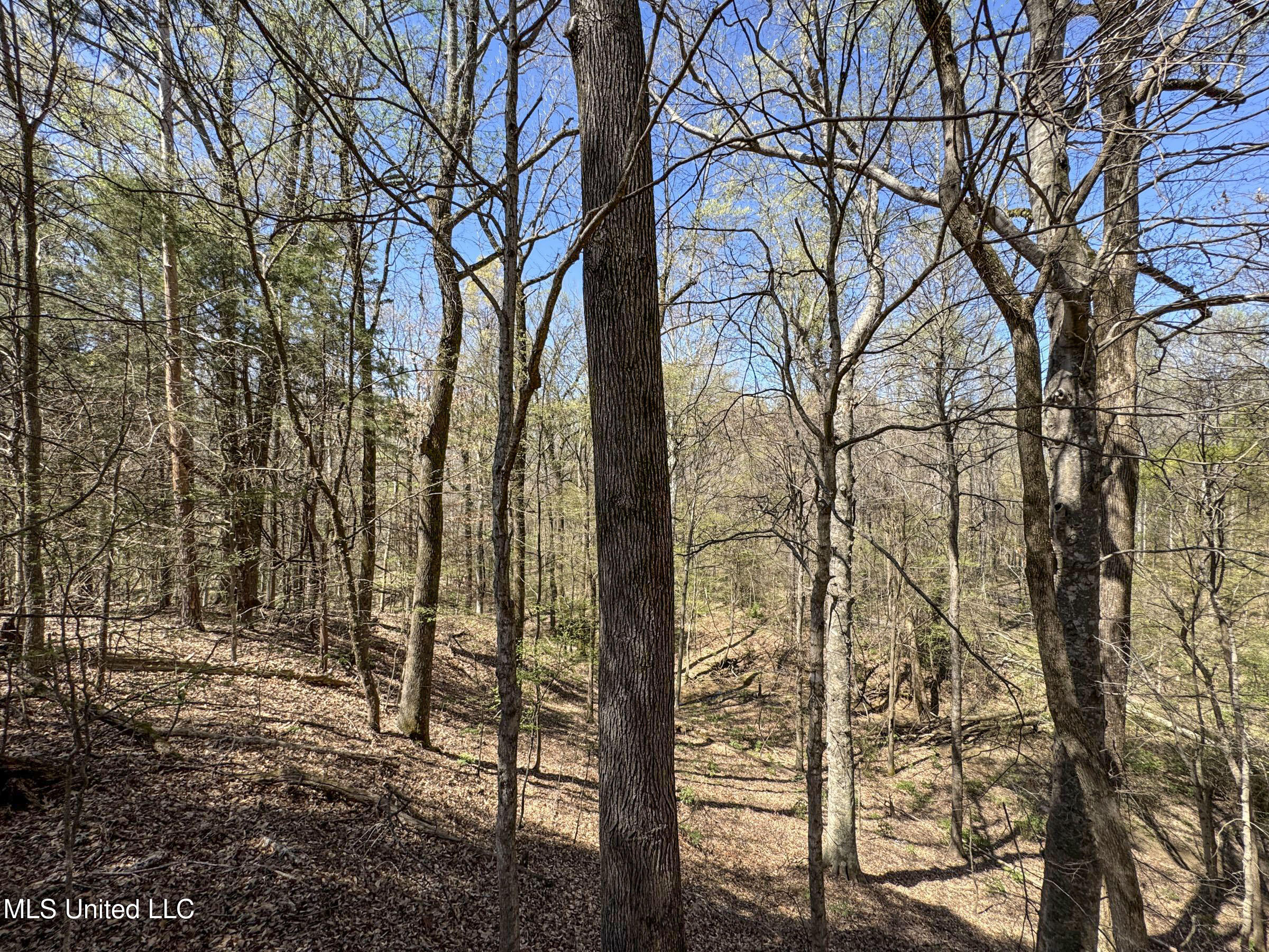 Ms-35 Charleston, MS 38921 - Photo 99 of 119 4omtch44