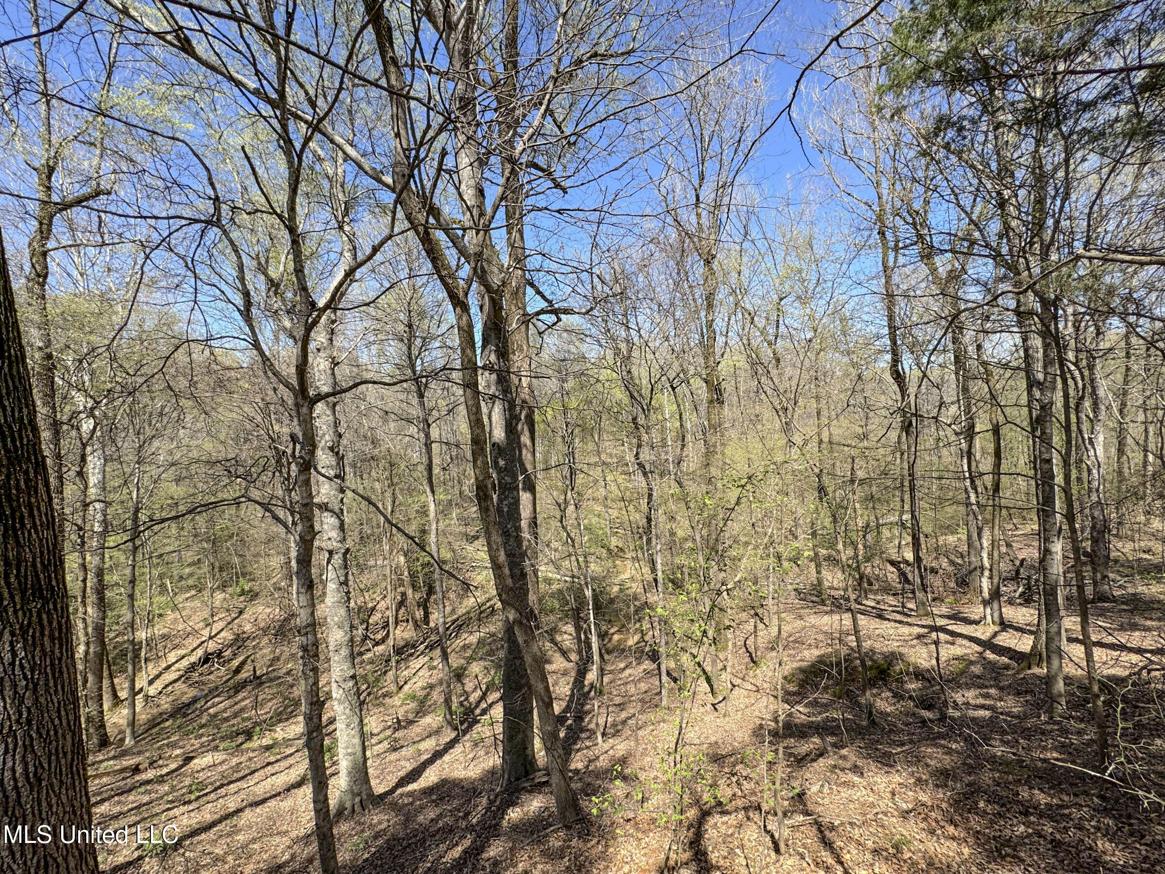 Ms-35 Charleston, MS 38921 - Photo 100 of 119 4omtch45