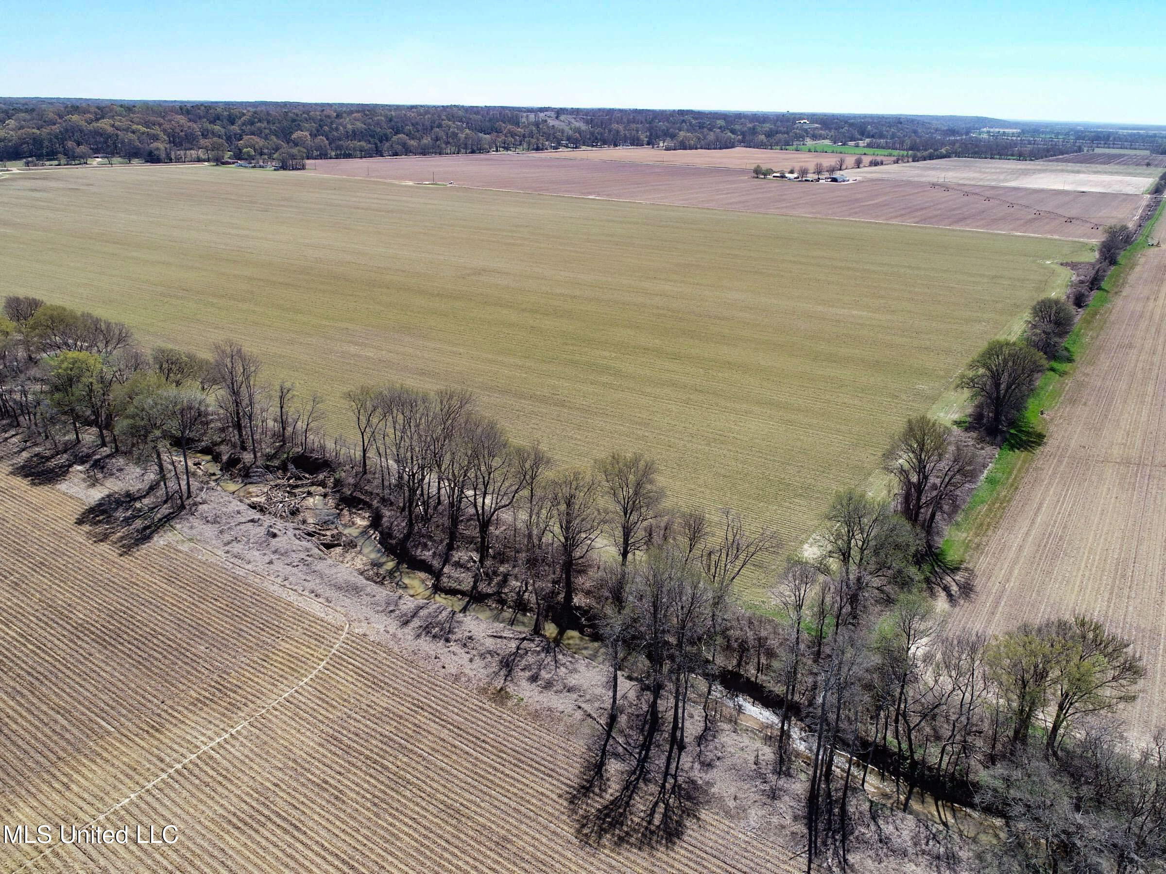Ms-35 Charleston, MS 38921 - Photo 10 of 119 3omtch2