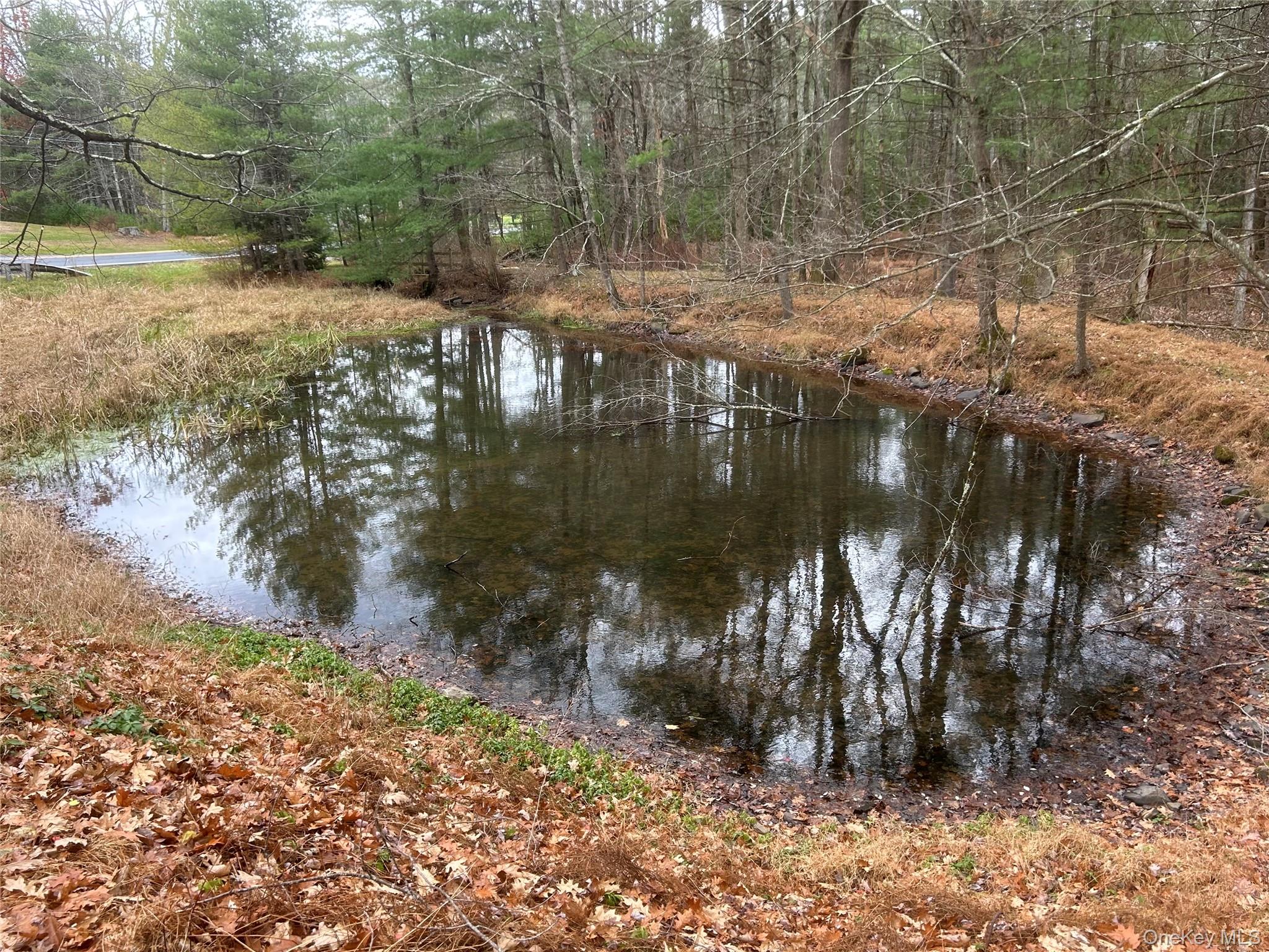 65 Eldred-Yulan Road Eldred, NY 12732 - Photo 20 of 22 a backyard of a house with lots of green space