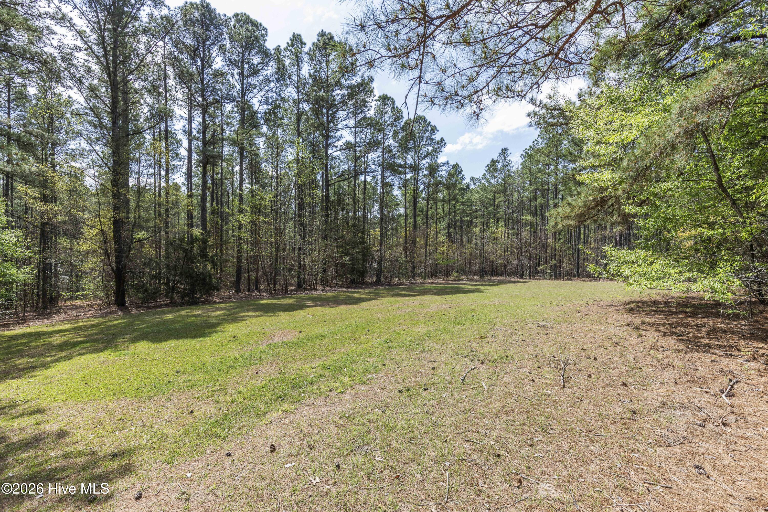 215 Cameron Camp Road Cameron, NC 28326 - Photo 64 of 65 Gallery Image 64