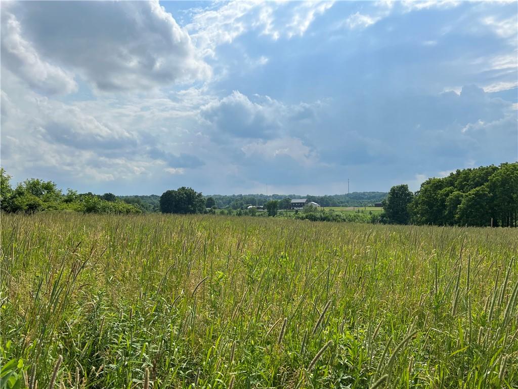 1238 Old State Road New Castle, PA 16101 - Photo 2 of 4 a view of a lake and mountain in the back