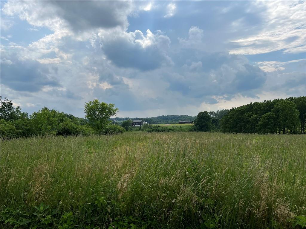 1238 Old State Road New Castle, PA 16101 - Photo 3 of 4 a view of a lake with a yard