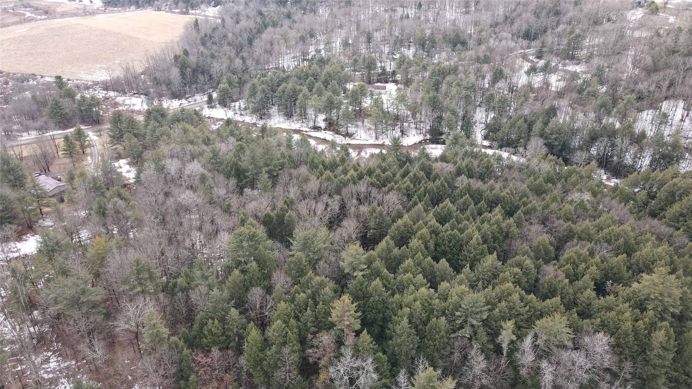315 Davis Road Whitney Point, NY 13862 - Photo 9 of 39 Gallery Image 9