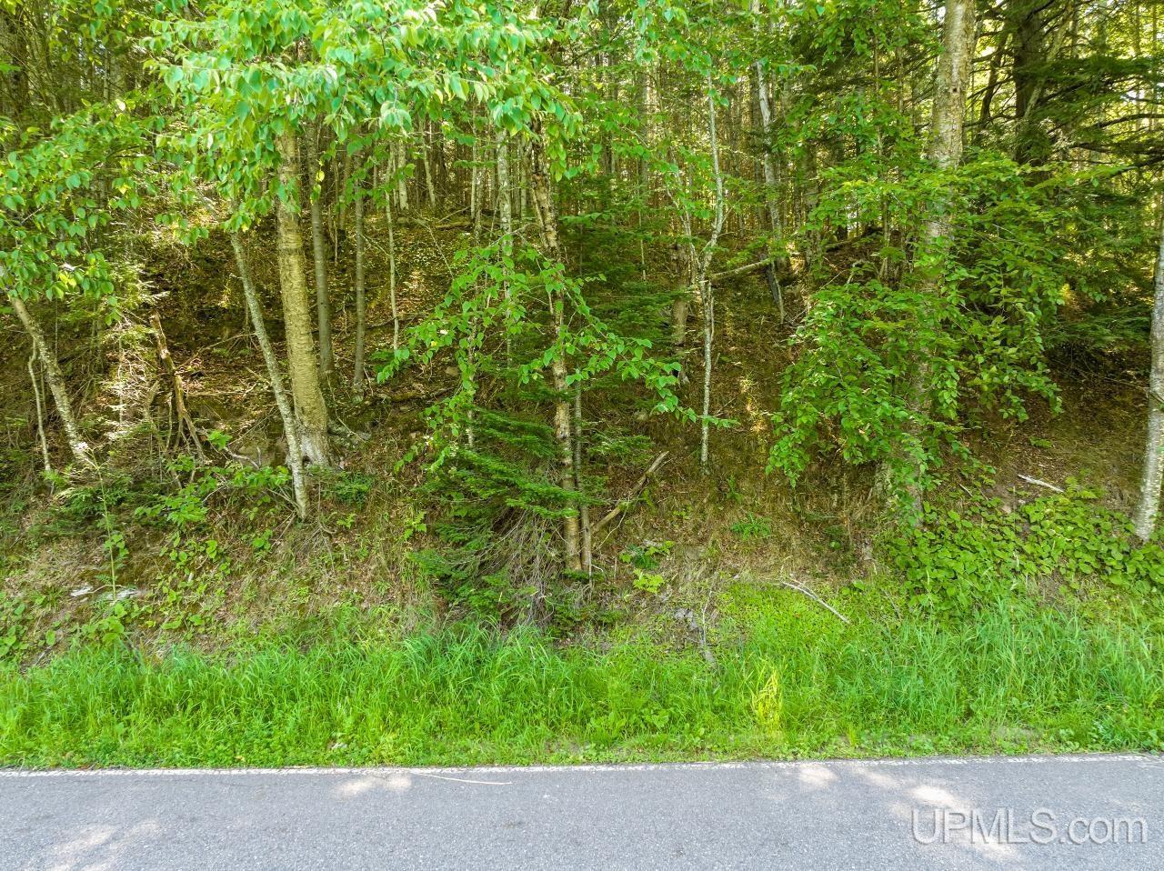 2 Eagles Nest Road Marquette, MI 49855 - Photo 8 of 37
