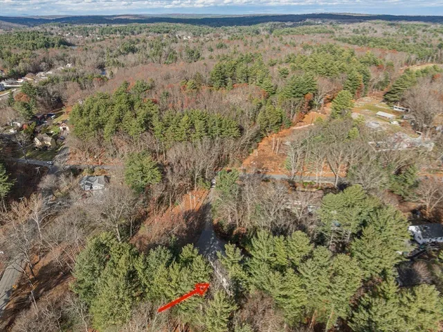 a view of a yard with a tree