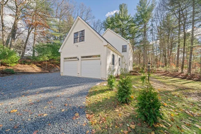 a view of a yard with plants and trees