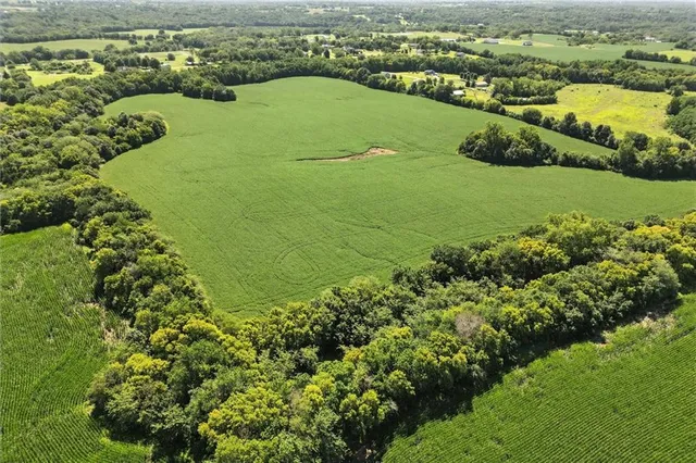 $1,300,000 | 7580 Southeast King Road, Holt, MO 64048