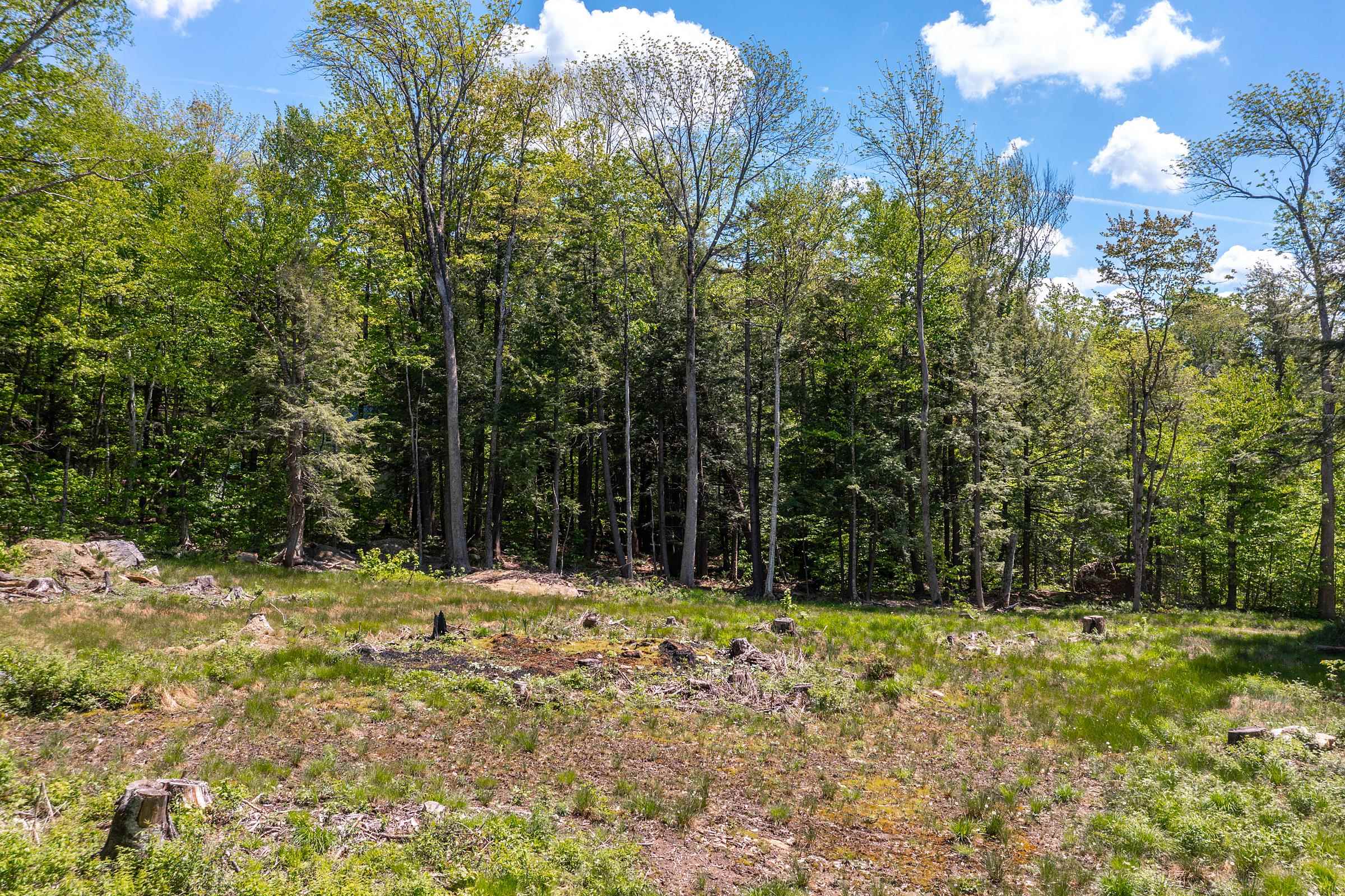 585 Sawmill Road West Wardsboro, VT 05360 - Photo 7 of 15