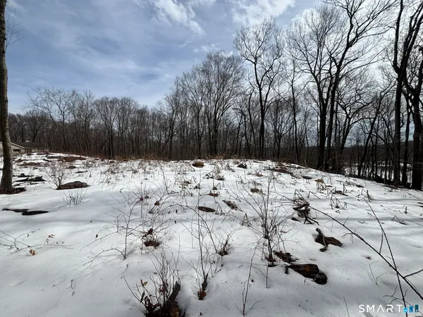 a view of covered with snow