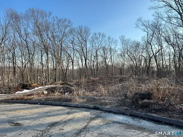 a view of road with trees