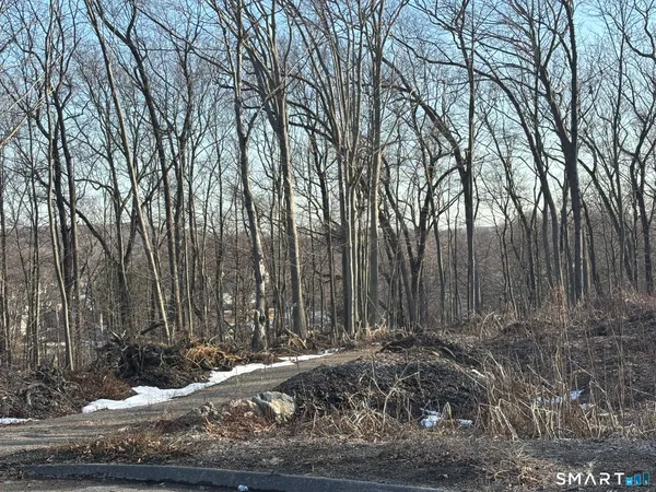 a view of a yard with large trees
