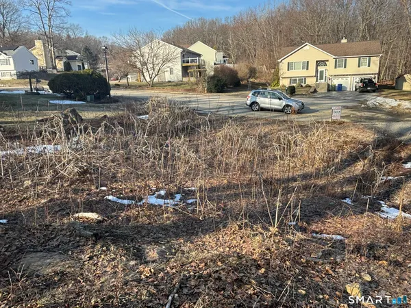 a house view with yard