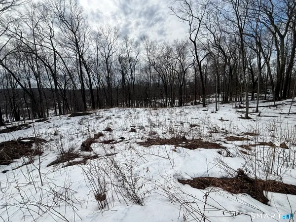 a view of snow on the beach