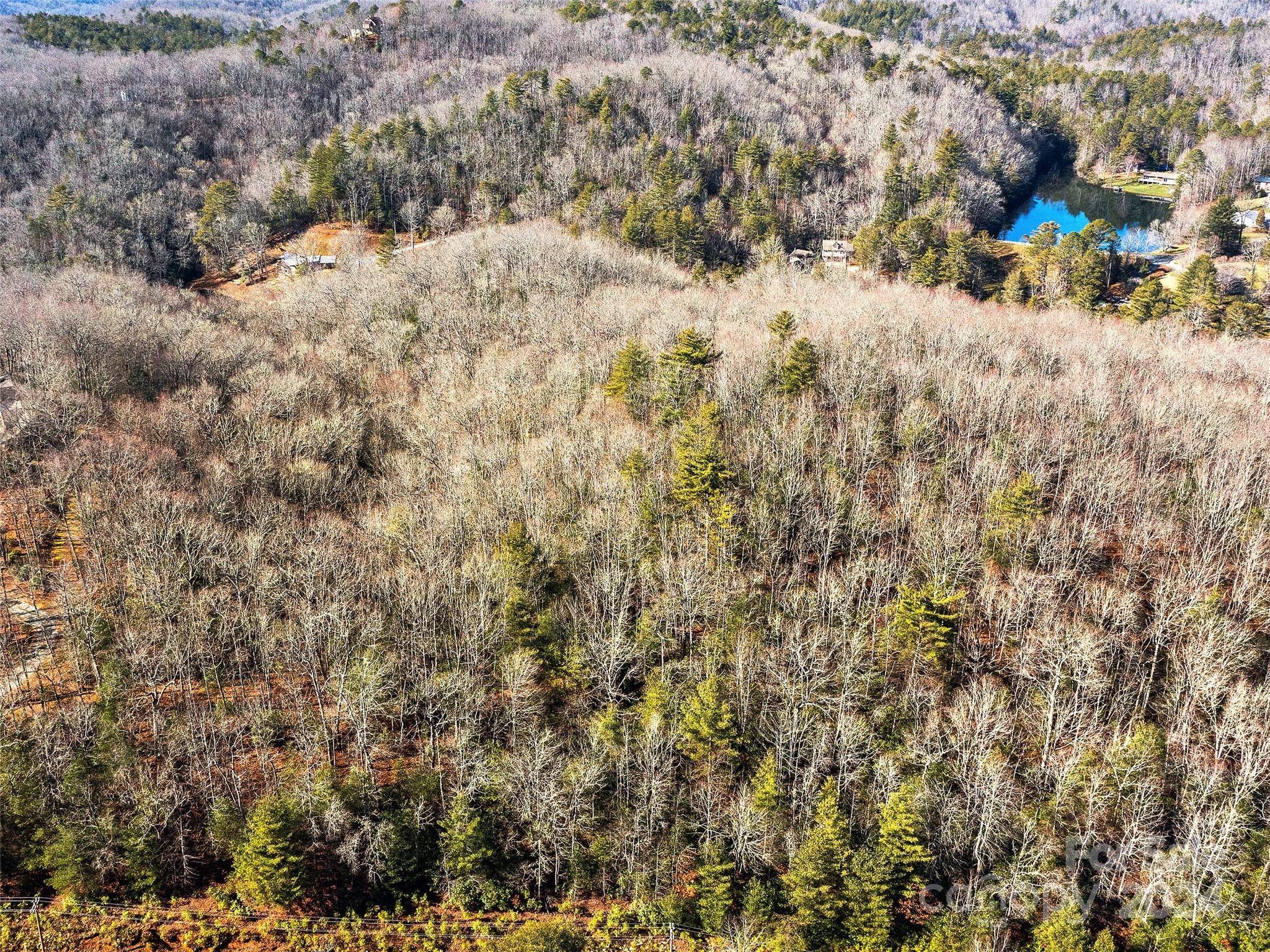 0 East Fork Road Brevard, NC 28712 - Photo 5 of 11 Gallery Image 5