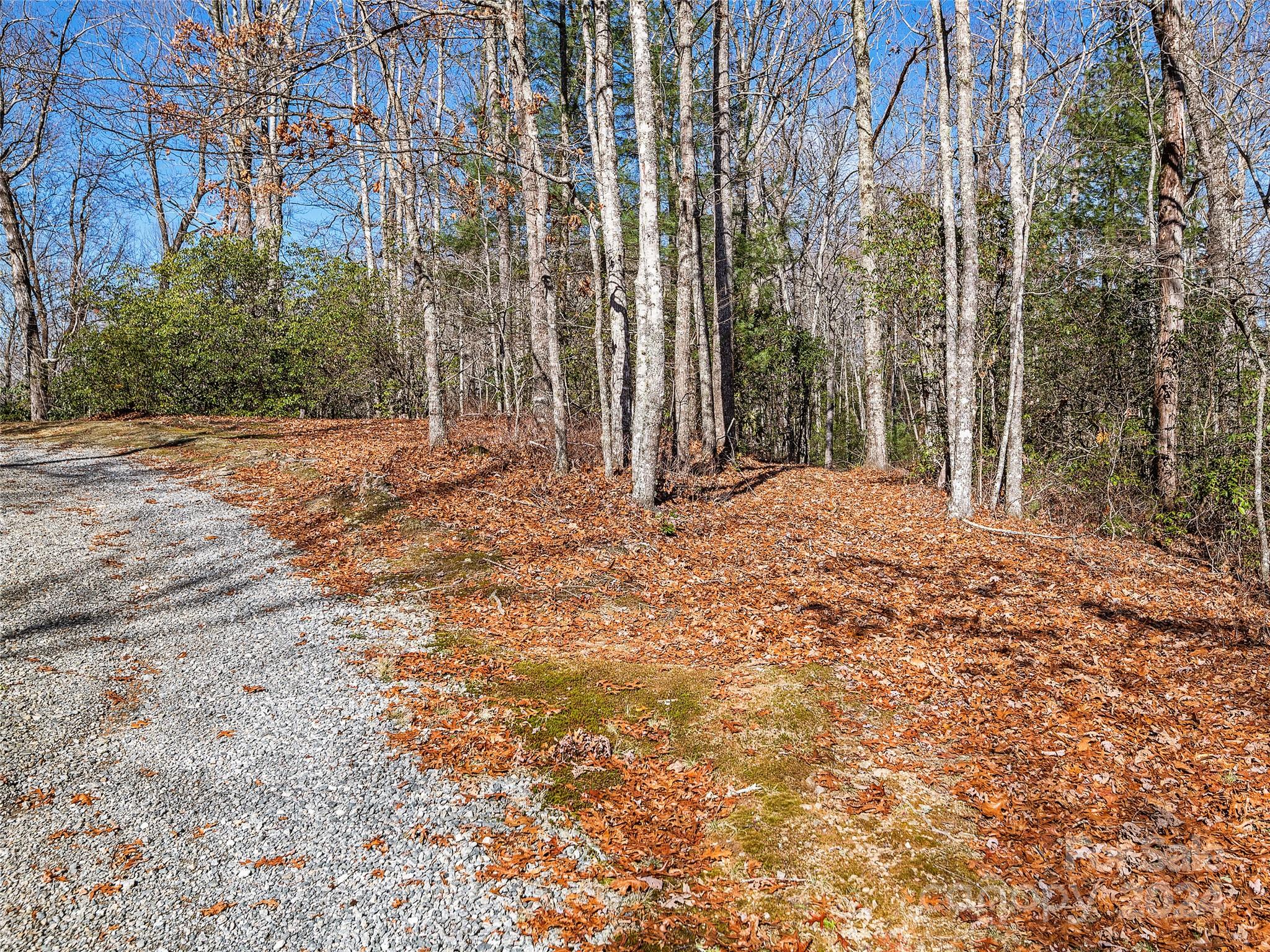 0 East Fork Road Brevard, NC 28712 - Photo 7 of 11 Gallery Image 7