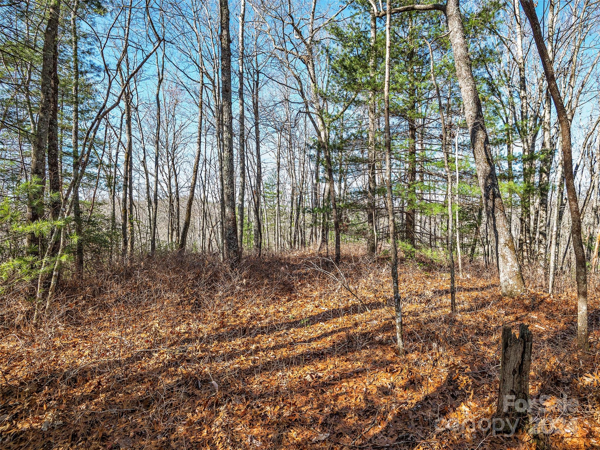 0 East Fork Road Brevard, NC 28712 - Photo 8 of 11 Gallery Image 8