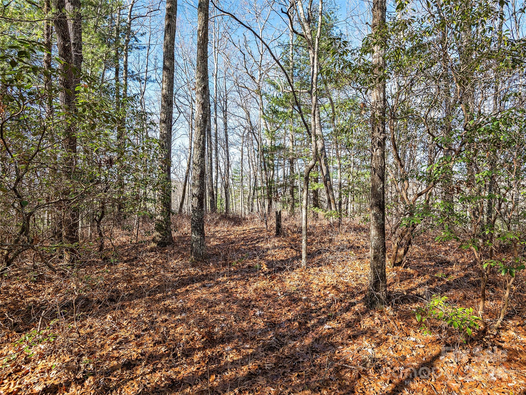 0 East Fork Road Brevard, NC 28712 - Photo 10 of 11 Gallery Image 10