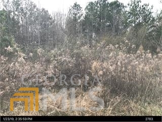 0 Maple Street Maxeys, GA 30667 - Photo 1 of 1 a view of yard with trees in the background