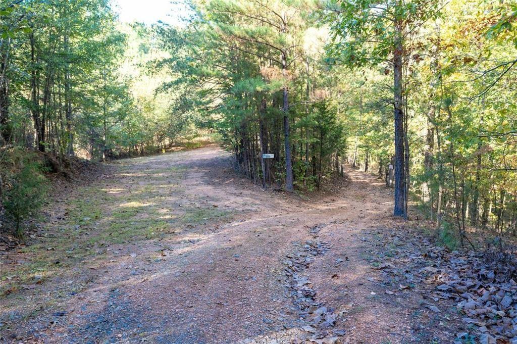 0 Vinson Mountain Road Rockmart, GA 30153 - Photo 47 of 48 a view of a forest with trees in the background