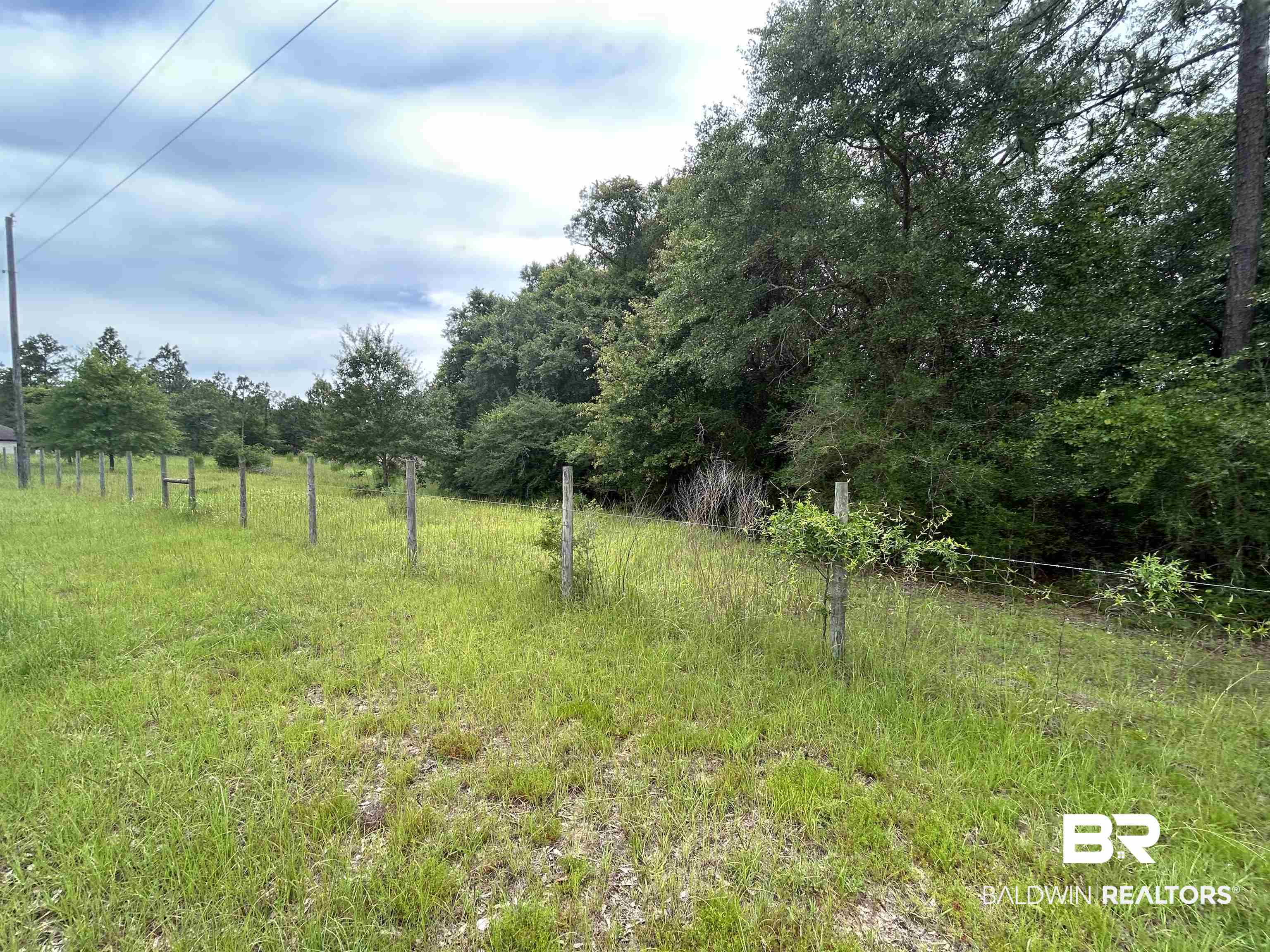 0 Hunters Trail Citronelle, AL 36522 - Photo 6 of 8 View of yard