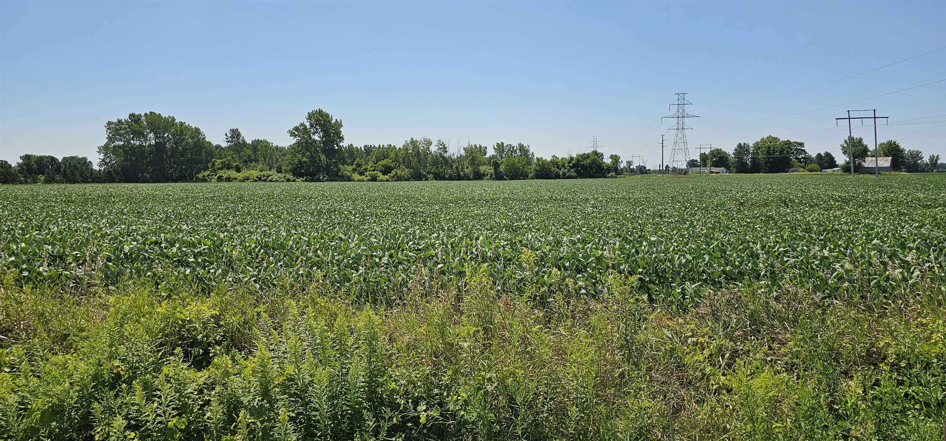 0 West German Road Bay City, MI 48708 - Photo 3 of 6