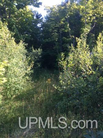 Tbd Centennial Heights Road Calumet, MI 49913 - Photo 7 of 9